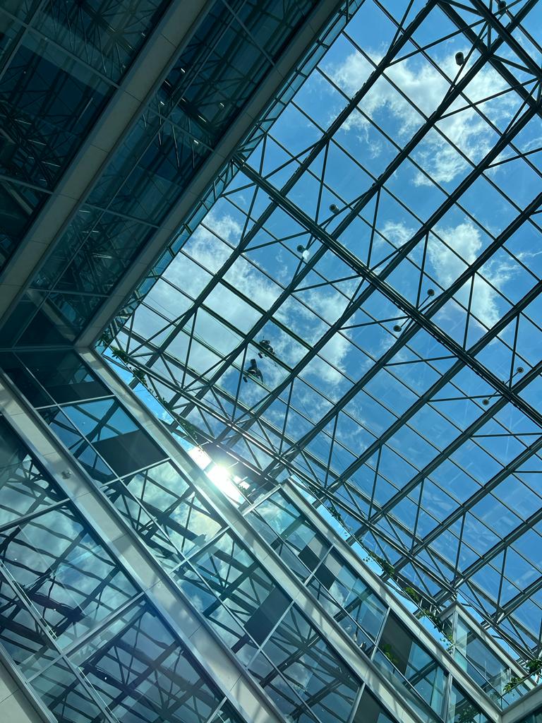 Hyperdesmo ADY 610 Particular