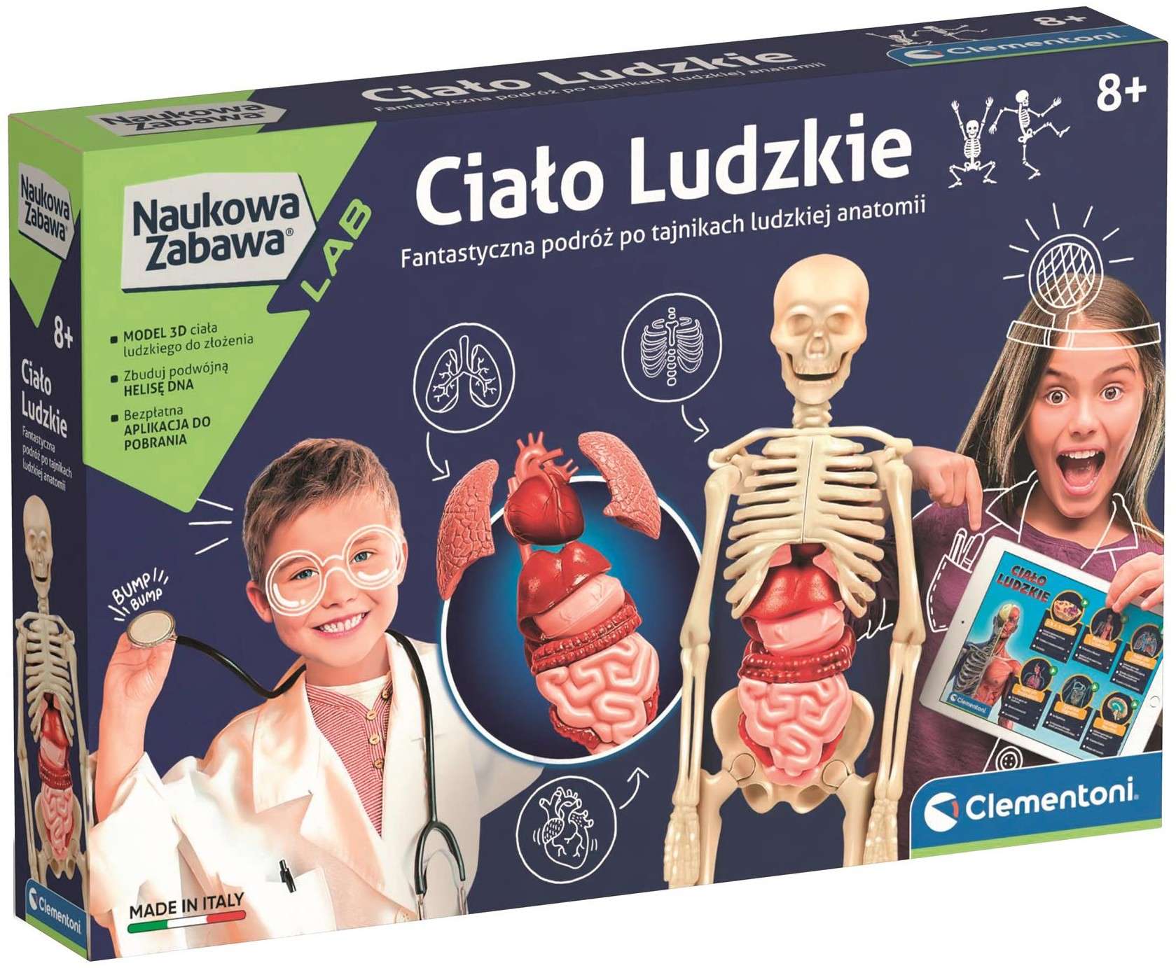 Clementoni - Ciało Ludzkie - Nauka Zabawa Model DNA