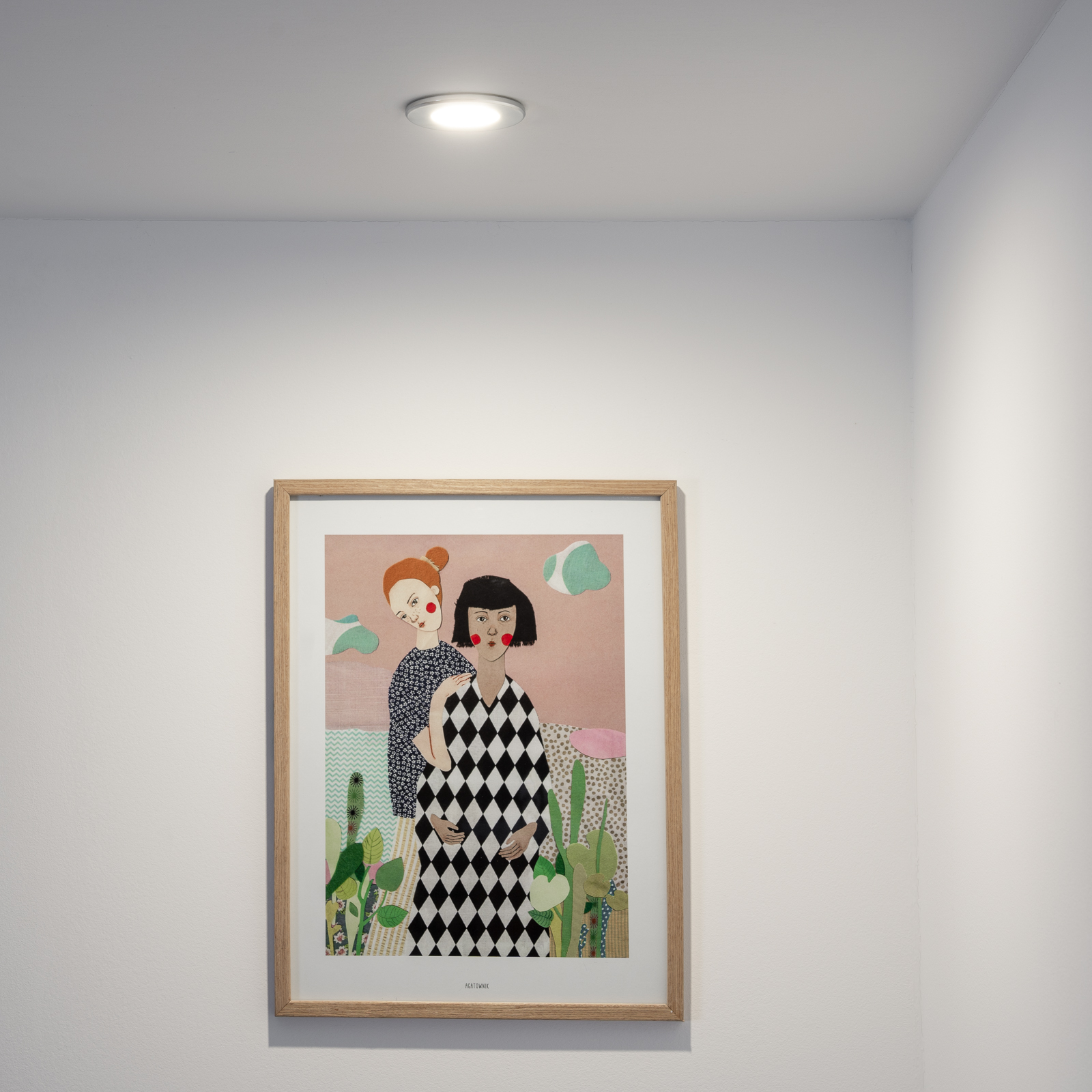 Oprawa Halogenowa Podtynkowa Wpuszczana LED MR16 Okrągła Chrom AQUS Lumiled - obszar zastosowań