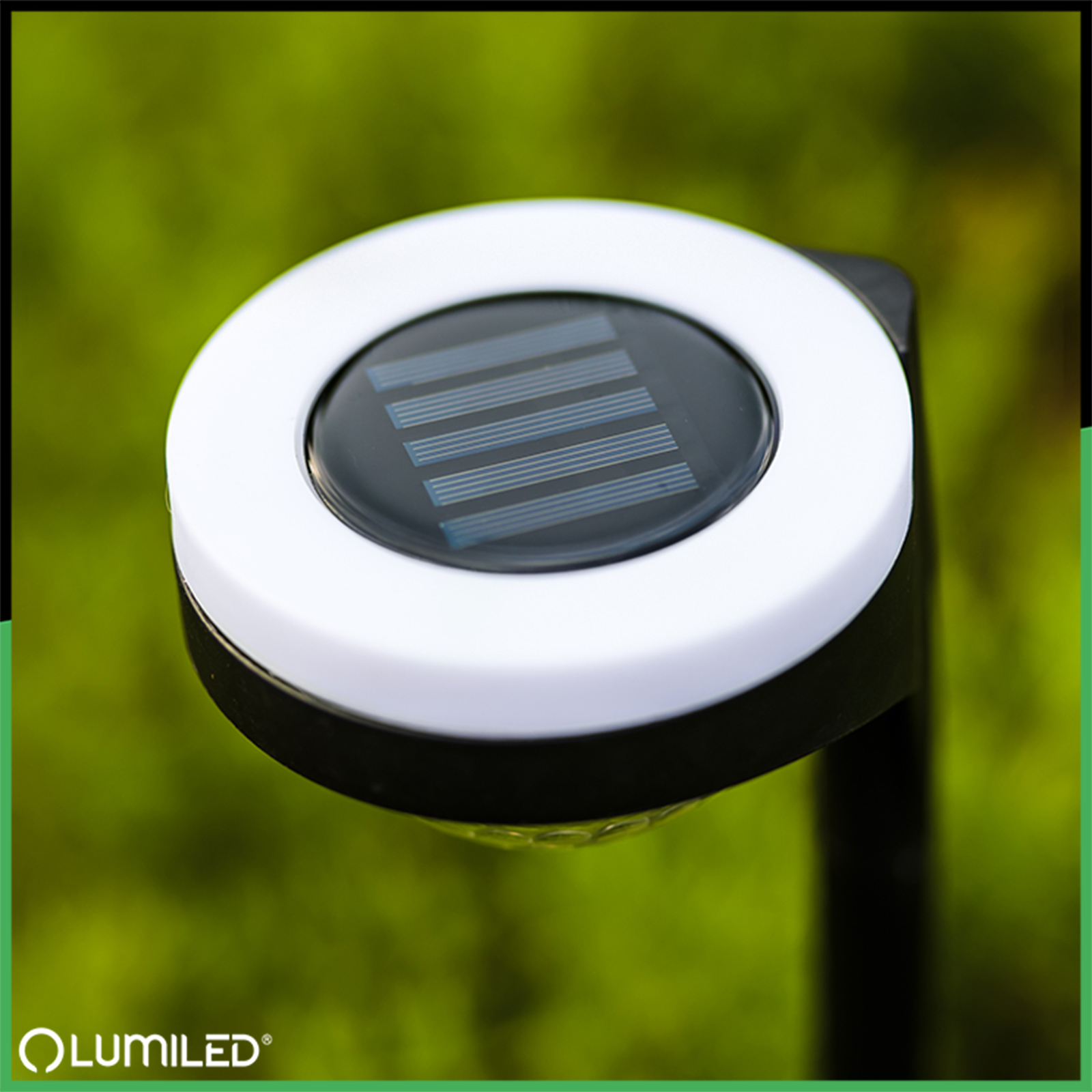 2x Lampa Solarna Ogrodowa LED LILA Wbijana Zewnętrzna Dekoracyjna 3000K LUMILED - pierwsza cecha produktu