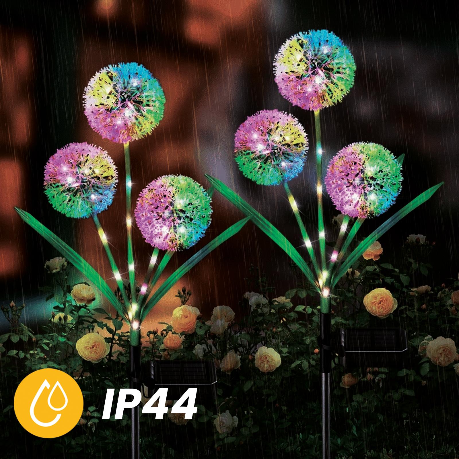 Lampa Solarna Ogrodowa LED PILUS RGB Wbijana Dekoracyjna Kwiat Czosnek LUMILED - druga cecha produktu