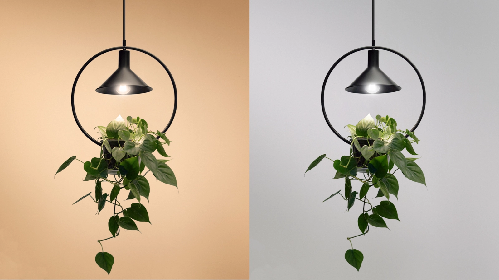 Żarówka LED E27 A60 4.3W = 60W 903lm 2700-4000K TW FILAMENT Inteligentna SMART WiFi Bluetooth Aplikacja WiZ - obszar zastosowań