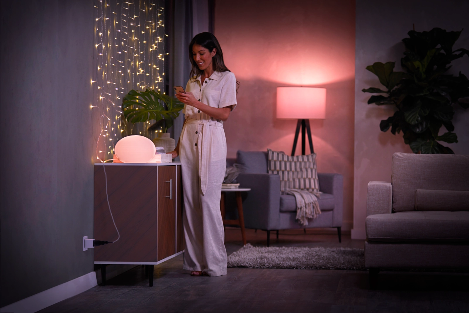 3x Inteligentne Gniazdko Schuko TYP F Watomierz Programator TIMER Białe Smart Plug Philips HUE - obszar zastosowań