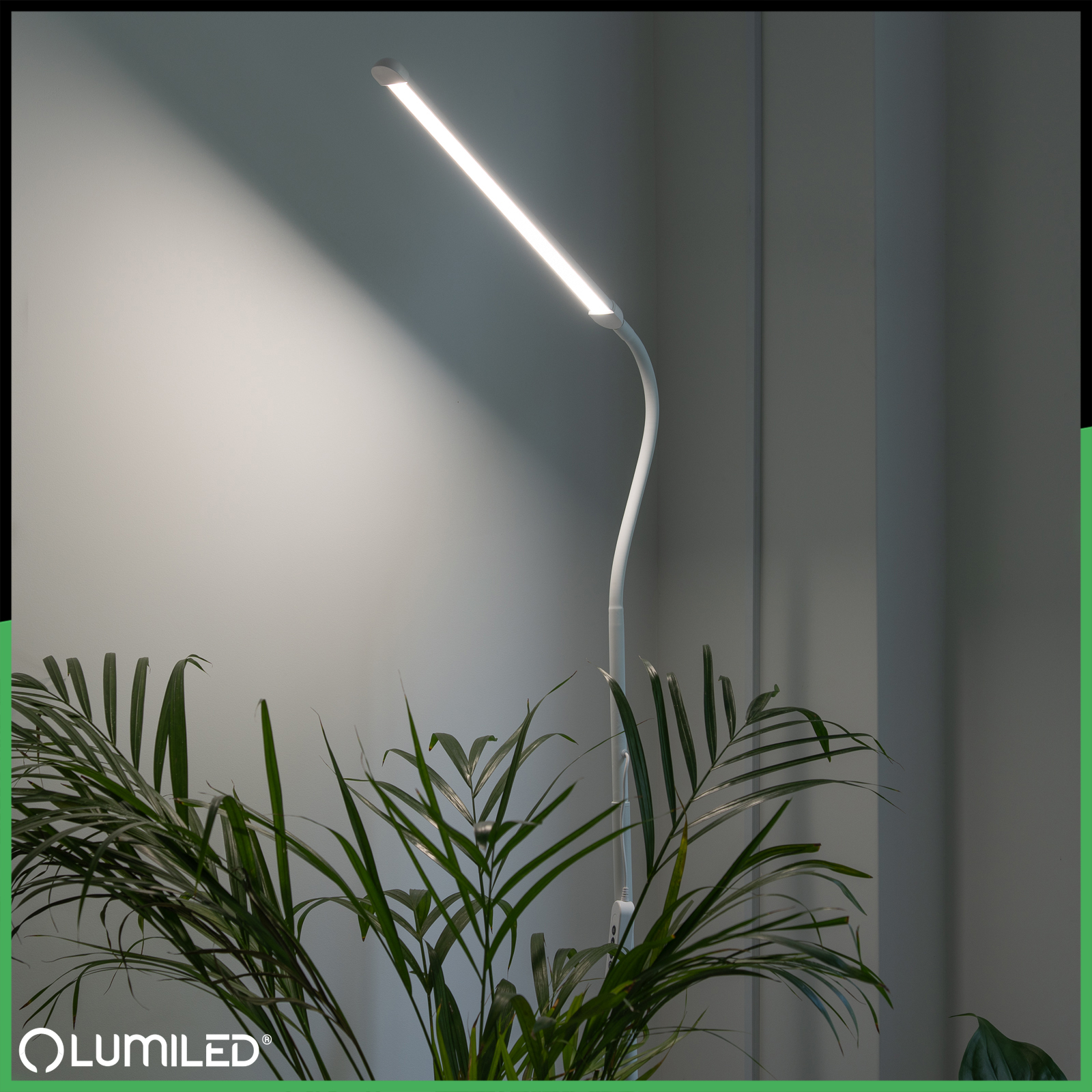 Lampa Stojąca Podłogowa Stołowa LED 14W CCT Ściemnialna z Regulacją Wysokości LONGA 2 Biała LUMILED - obszar zastosowań
