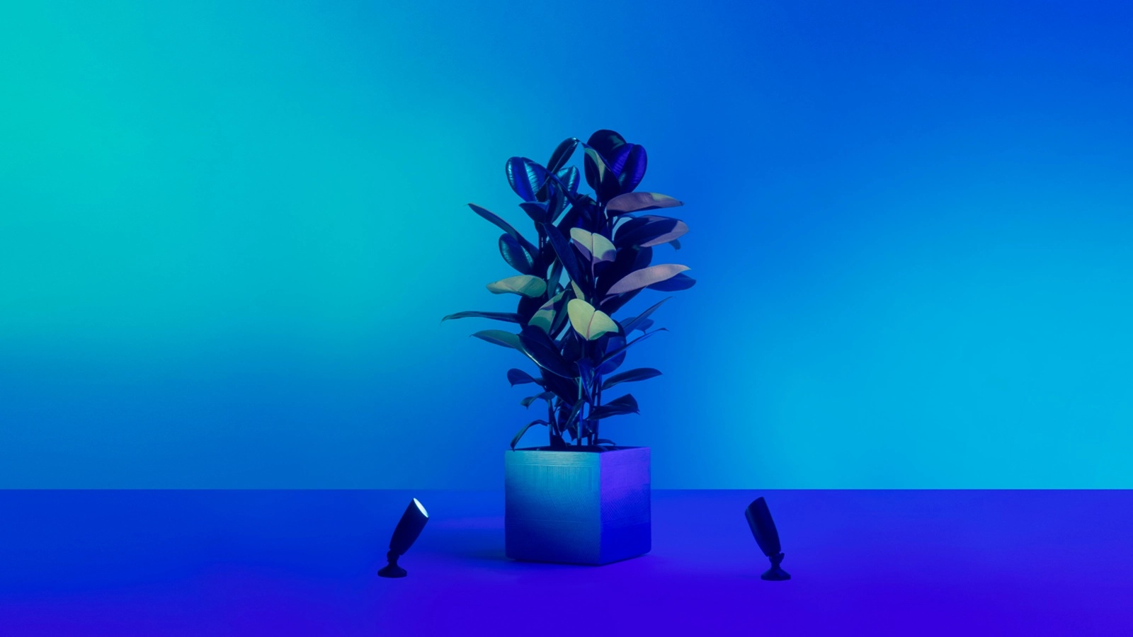 2x Reflektor Ogrodowy LED Wbijany Lampa 10W 540lm 2700-5000K RGB + TW Czarna Inteligentna SMART WiFi Bluetooth Aplikacja WiZ - druga cecha produktu