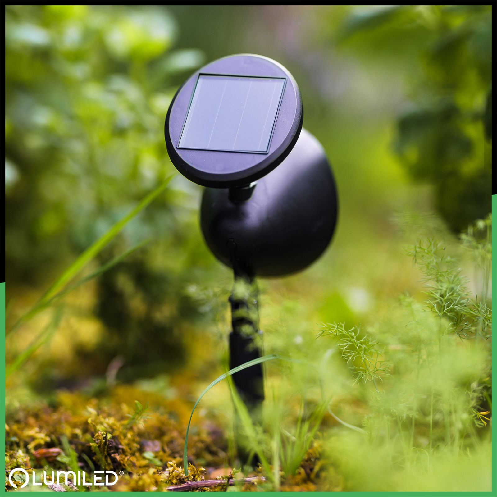 3x Lampa Ogrodowa LED Solarna Wbijana Czarna Kierunkowa OGA Reflektor IP44 6500K LUMILED - pierwsza cecha produktu