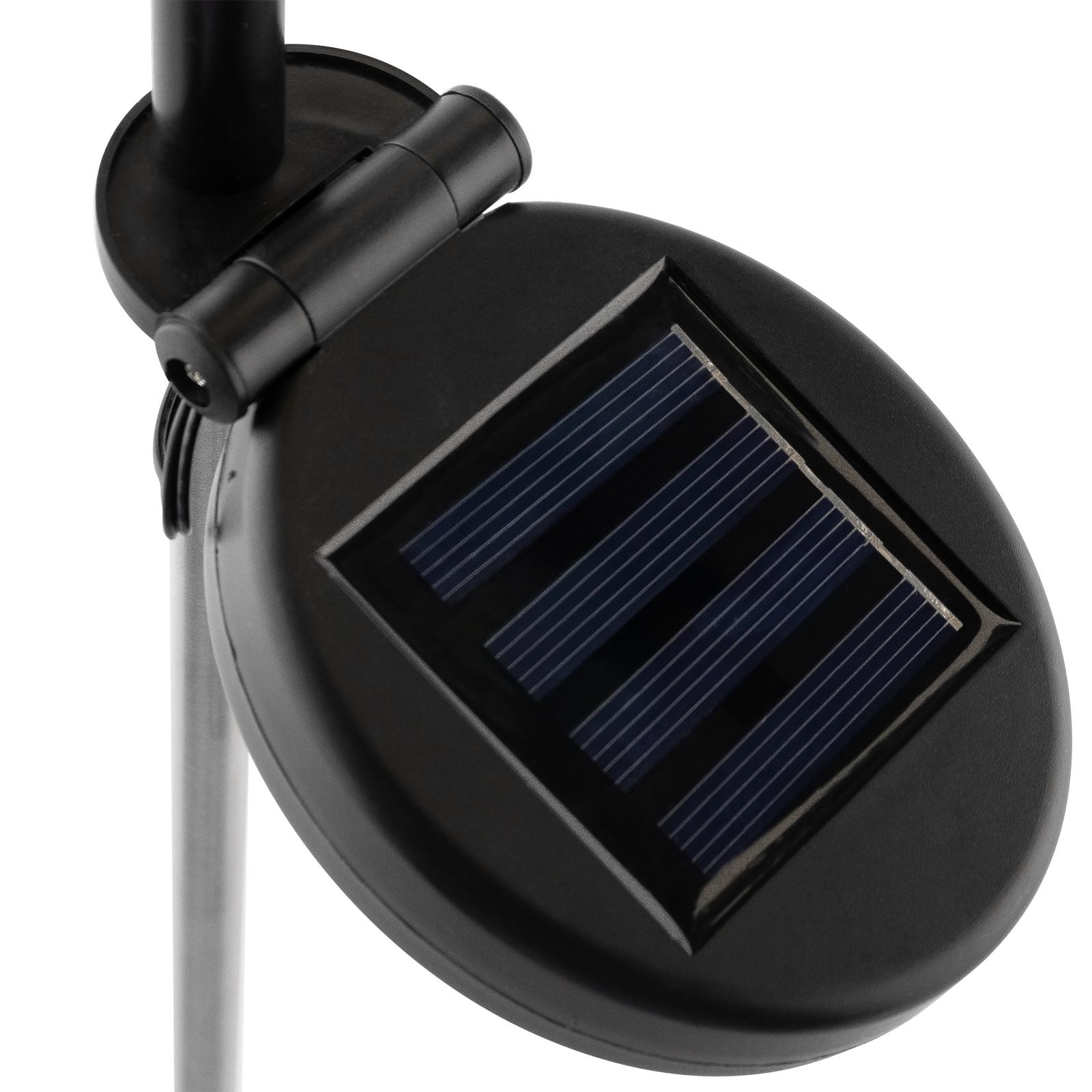 Lampa Solarna Ogrodowa LED PILUS RGB Wbijana Dekoracyjna Kwiat Czosnek LUMILED - pierwsza cecha produktu