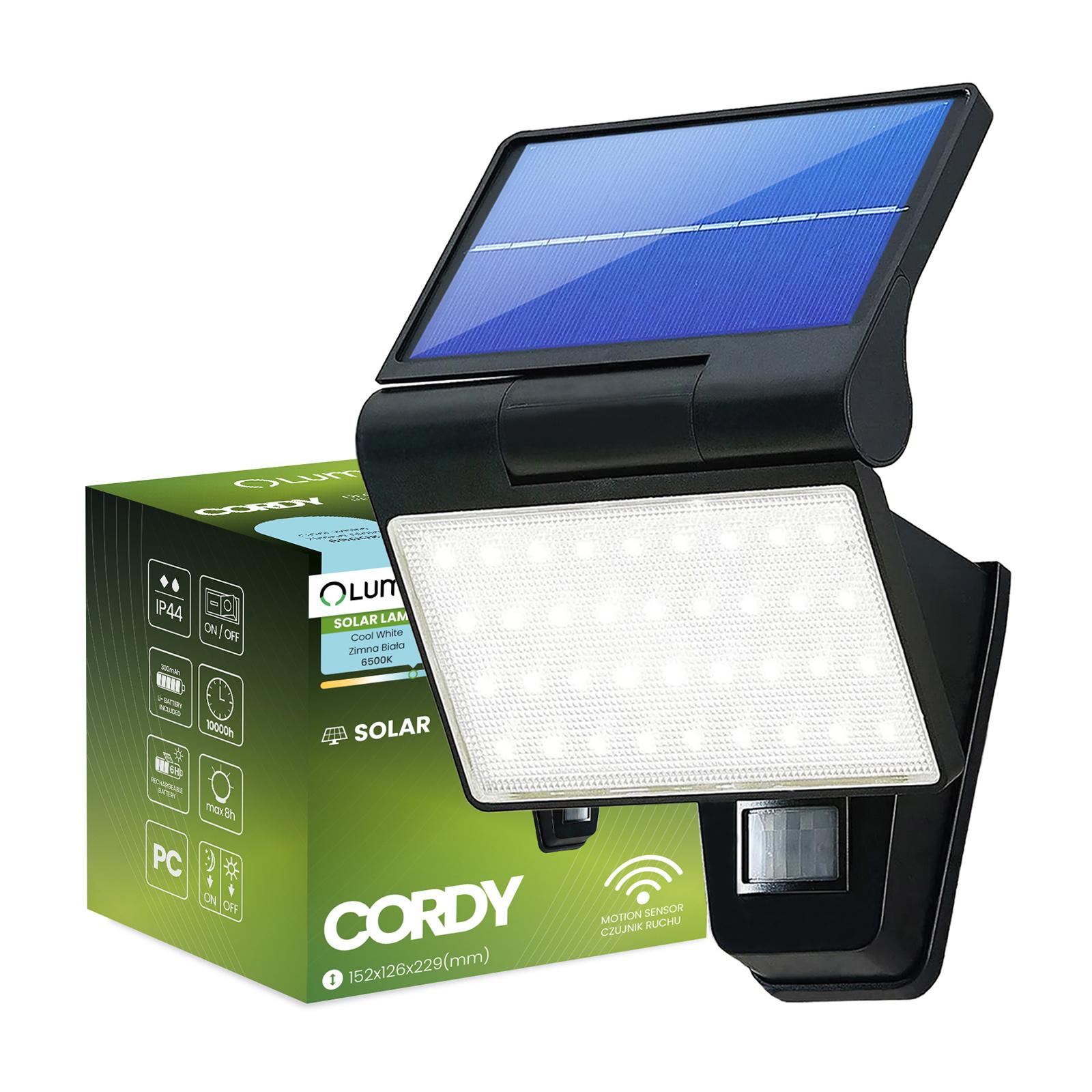 Naświetlacz Solarny Lampa Elewacyjna LED 6500K IP44 Czujnik Ruchu i Zmierzchu CORDY LUMILED - główne zdjęcie produktu