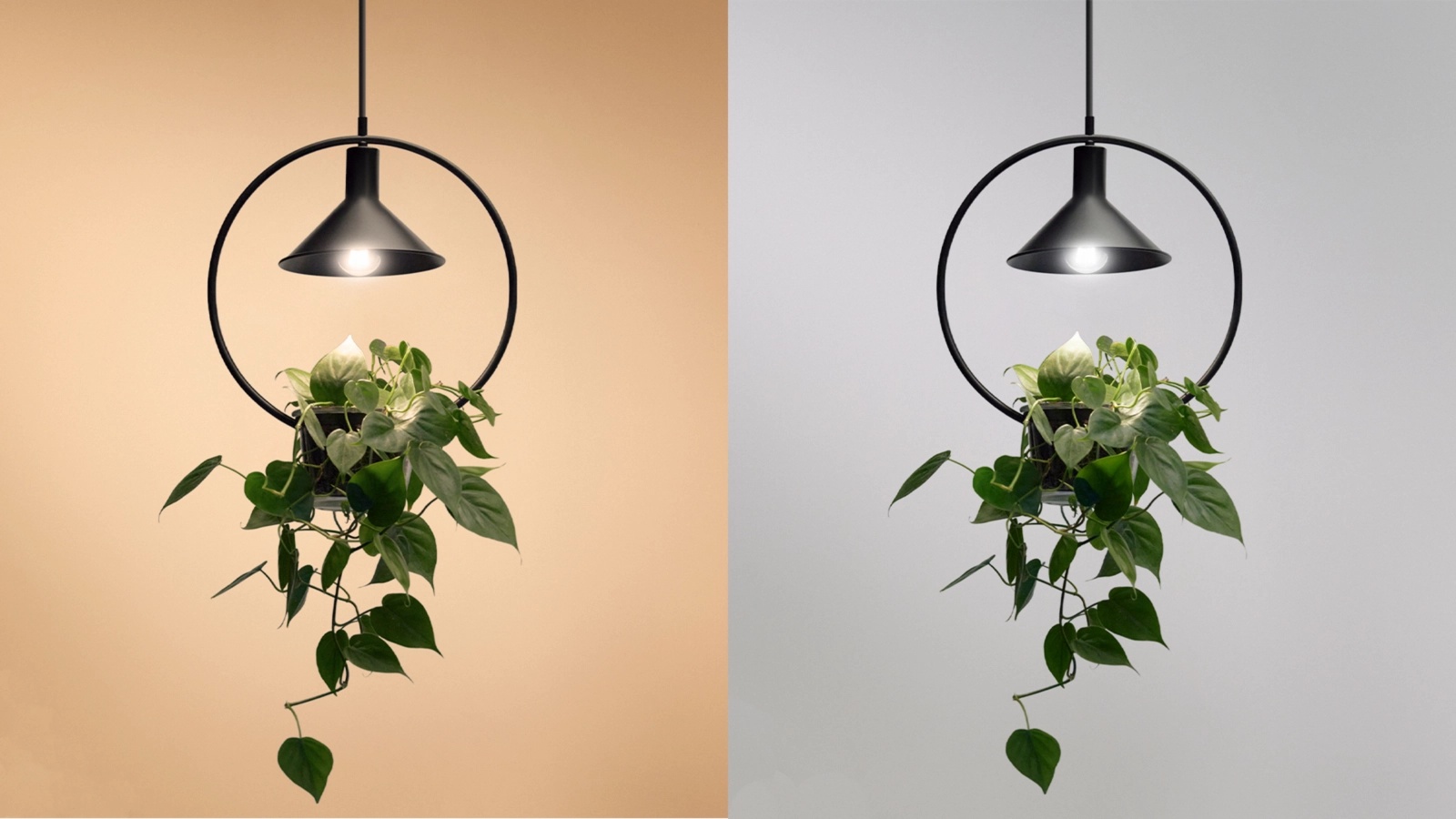 Żarówka LED E27 A60 7W = 50W 640lm 2000-5000K TW FILAMENT Bursztynowa Inteligentna SMART WiFi Bluetooth Aplikacja WiZ - obszar zastosowań