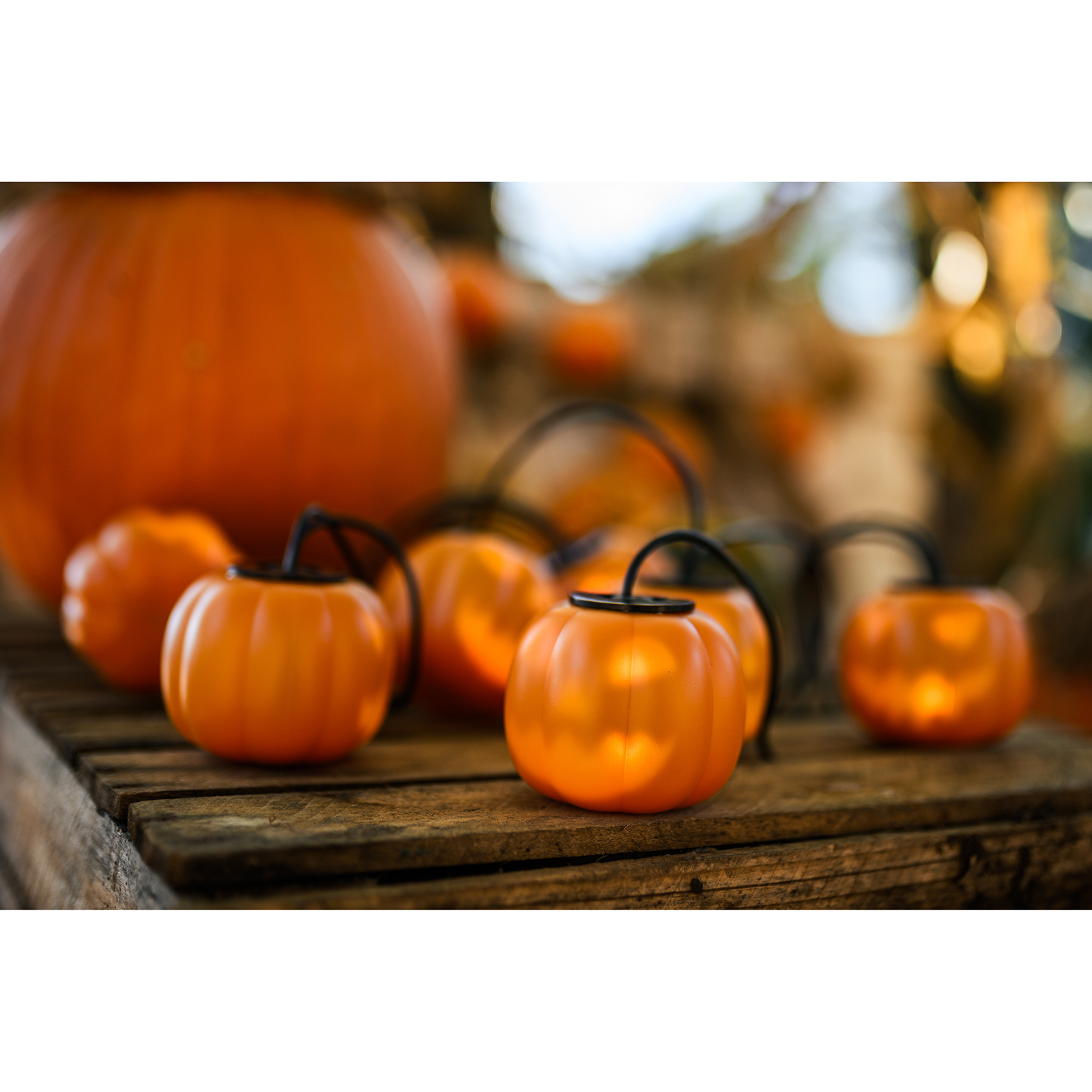Girlanda Bateryjna 8xLED Ozdobne Dynie 4,45m Lampki Halloween + USB C - aranżacja