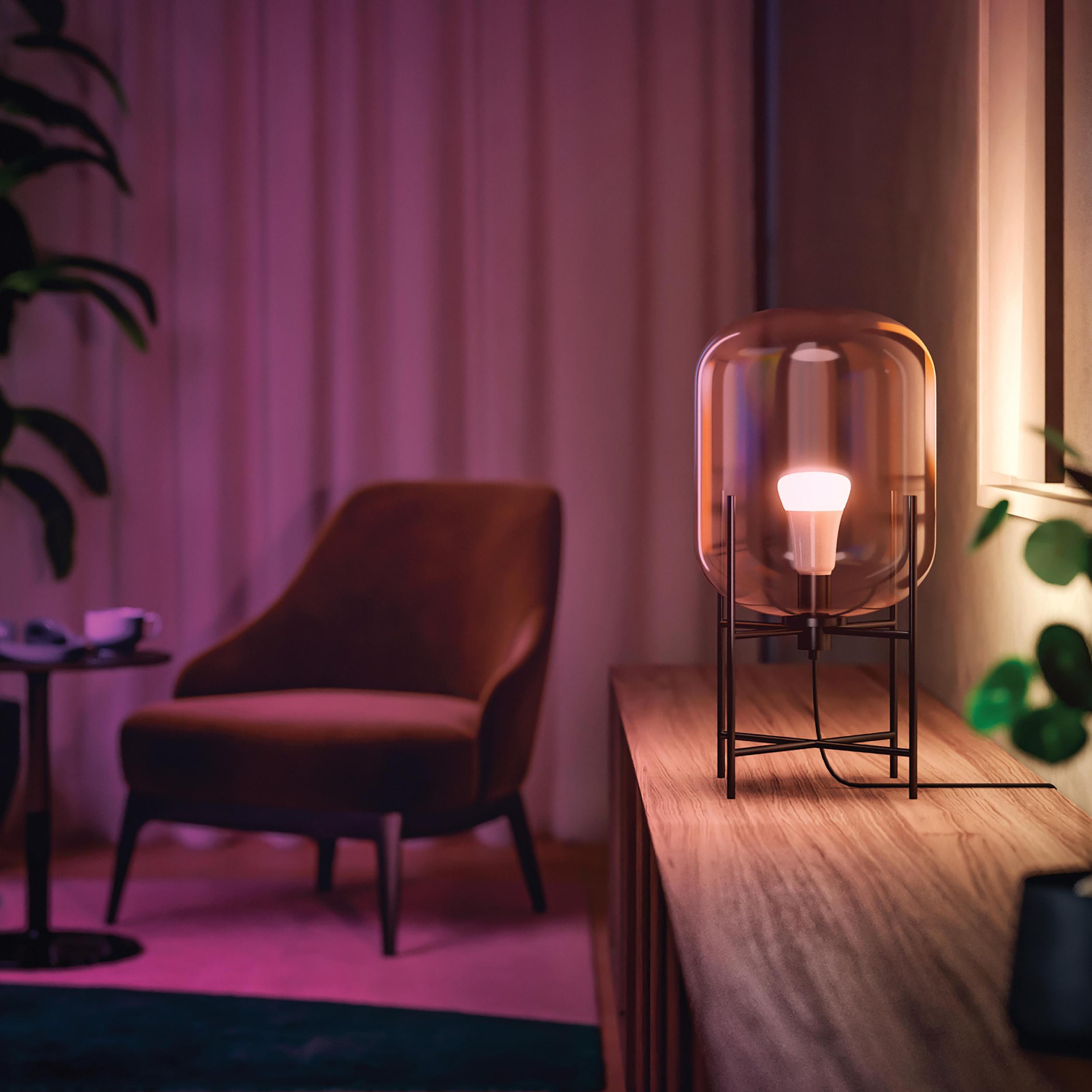 3x Żarówka LED E27 A60 9W = 60W 806lm 2000-6500K CCT + RGB SMART Inteligentna Bluetooth ZigBee White and Color Ambiance Philips HUE - obszar zastosowań