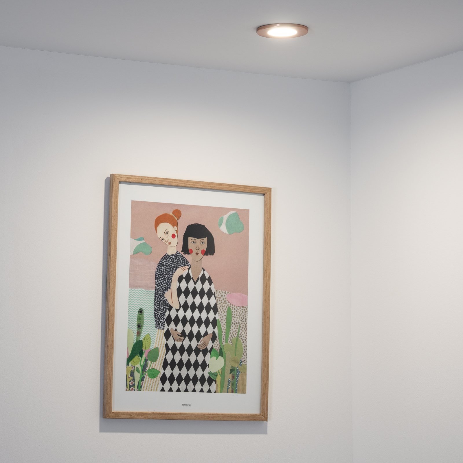 Oprawa Halogenowa Podtynkowa Wpuszczana LED MR16 Okrągła Miedziana AQUS Lumiled - obszar zastosowań