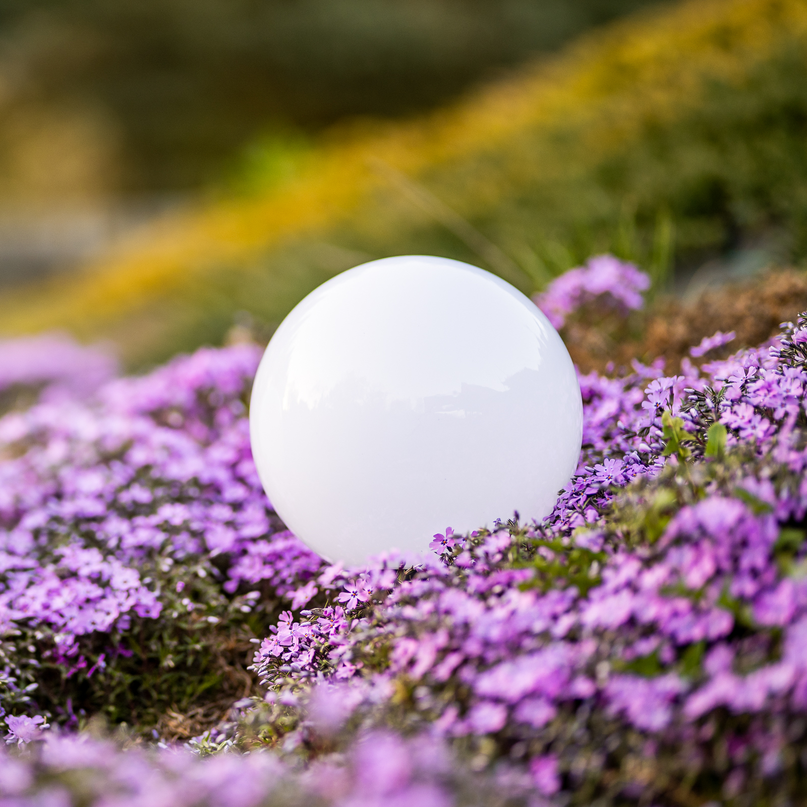 Lampa Solarna Ogrodowa LED 6500K IP44 20cm Wbijana Naziemna Biała Kulka ATRIS LUMILED - aranżacja