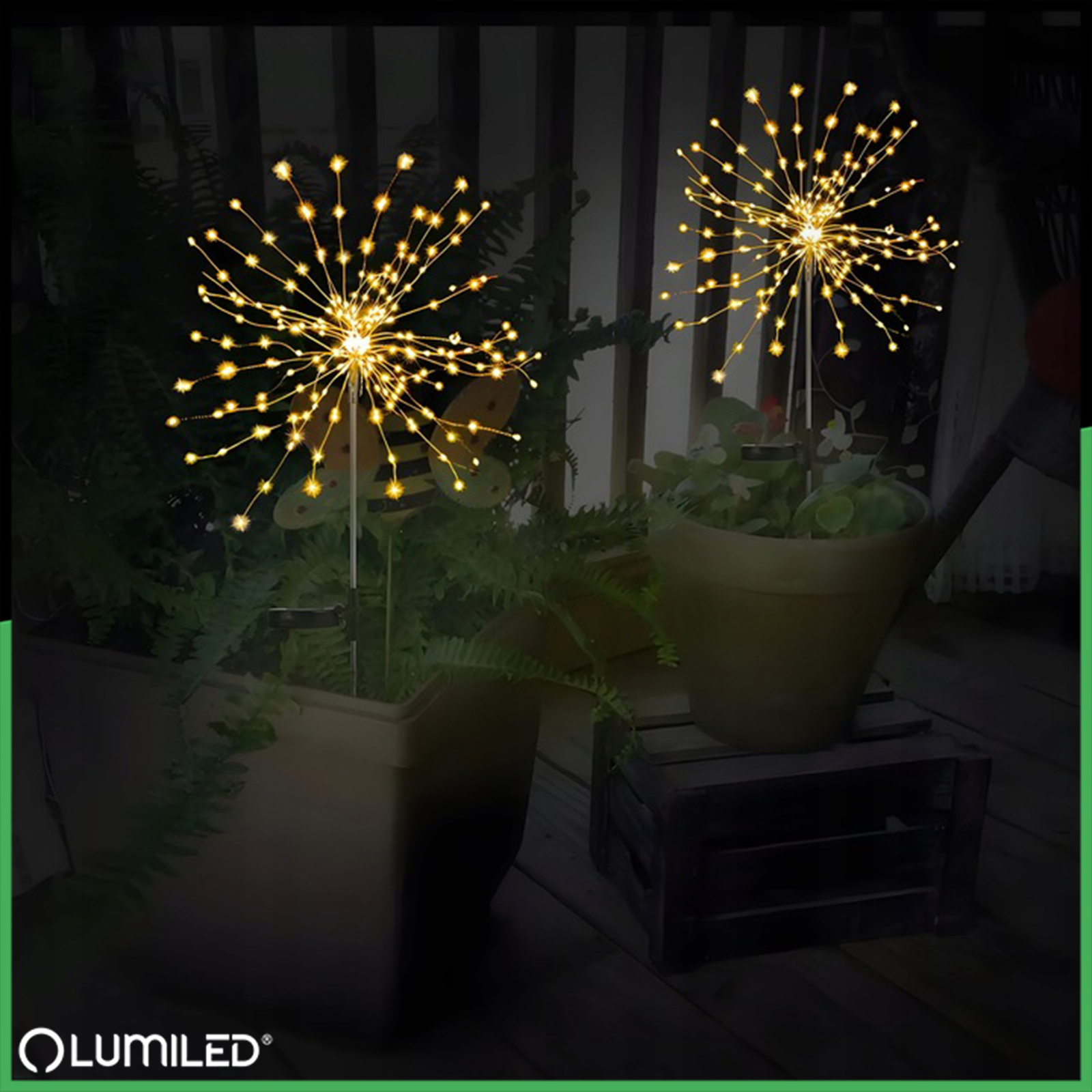 Lampa Solarna Ogrodowa LED LOTUS Wbijana Dekoracyjna Dmuchawiec Fajerwerki 3000K LUMILED - druga cecha produktu