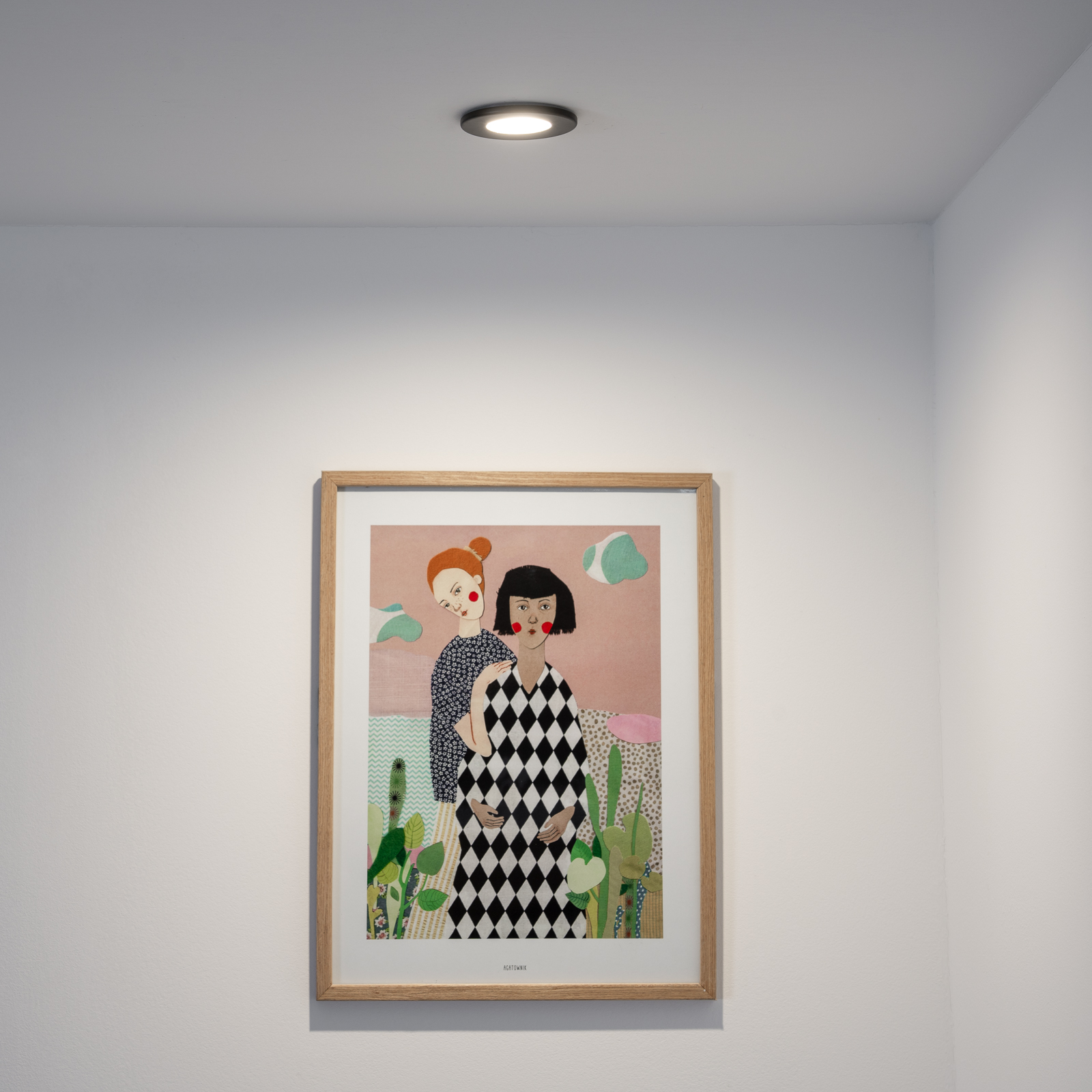 Oprawa Halogenowa Podtynkowa Wpuszczana LED MR16 Okrągła Czarna AQUS Lumiled - obszar zastosowań