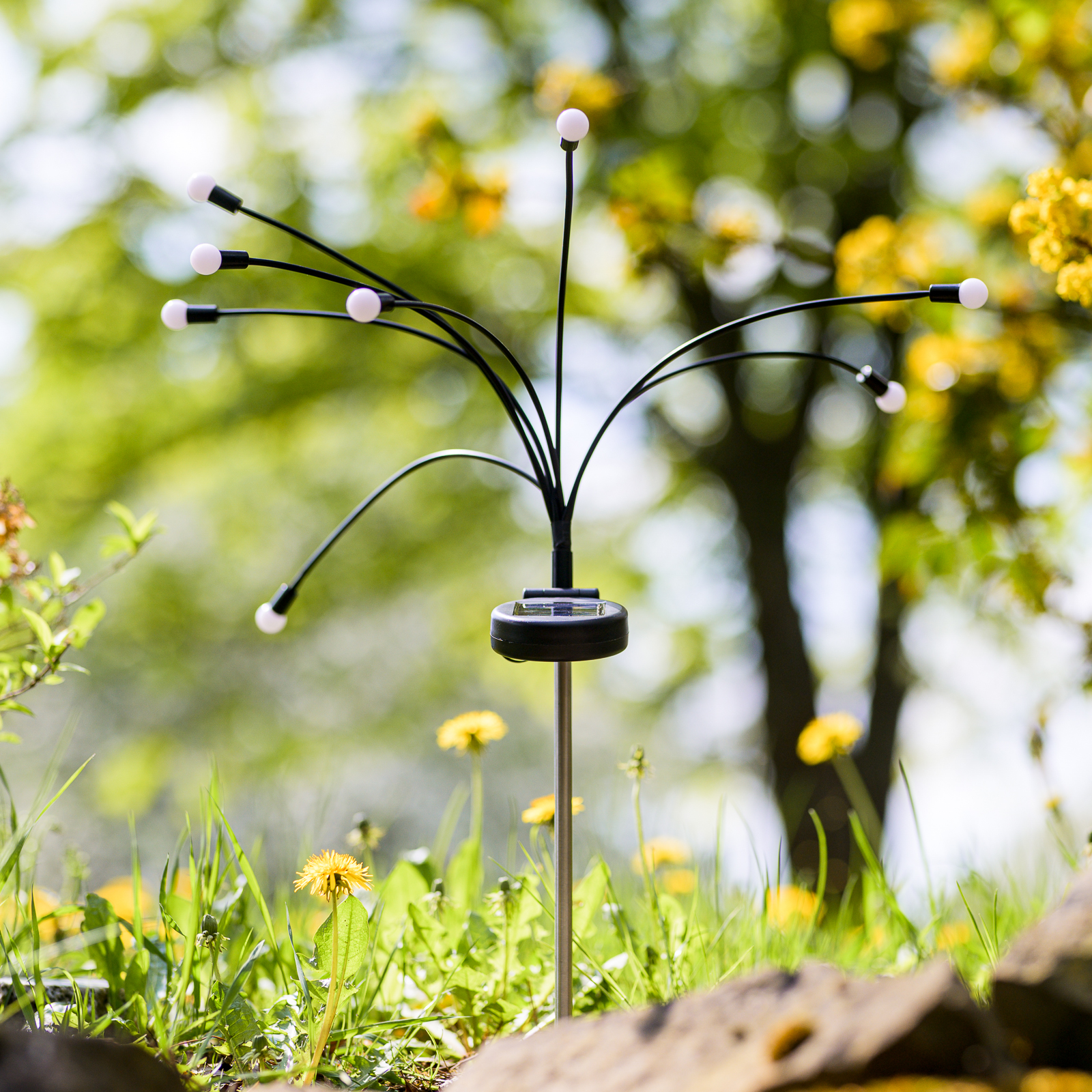 Lampa Solarna Ogrodowa LED TULIO Wbijana Dekoracyjna Dmuchawiec Kuleczki RGB LUMILED - pierwsza cecha produktu