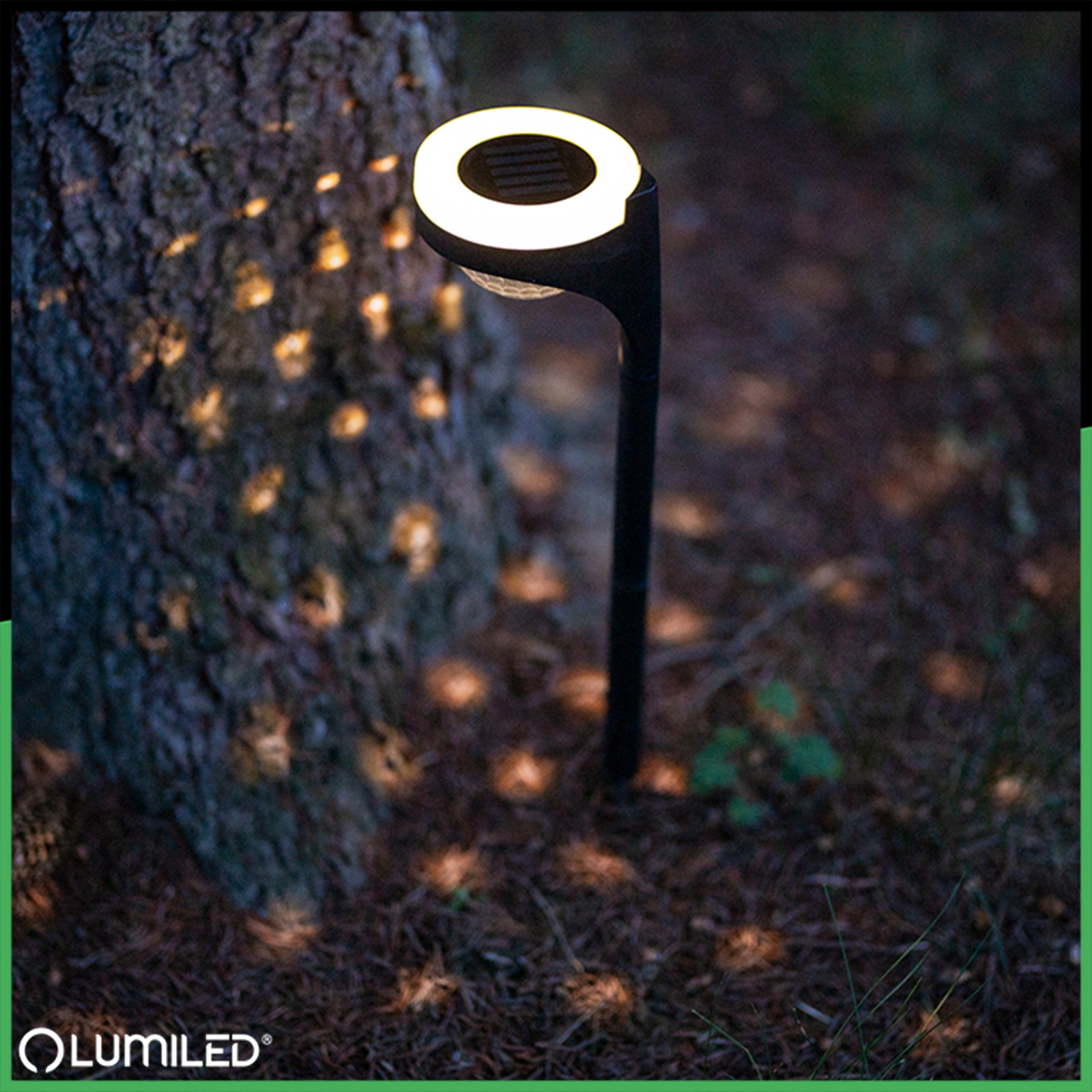 2x Lampa Solarna Ogrodowa LED LILA Wbijana Zewnętrzna Dekoracyjna 3000K LUMILED - trzecia cecha produktu