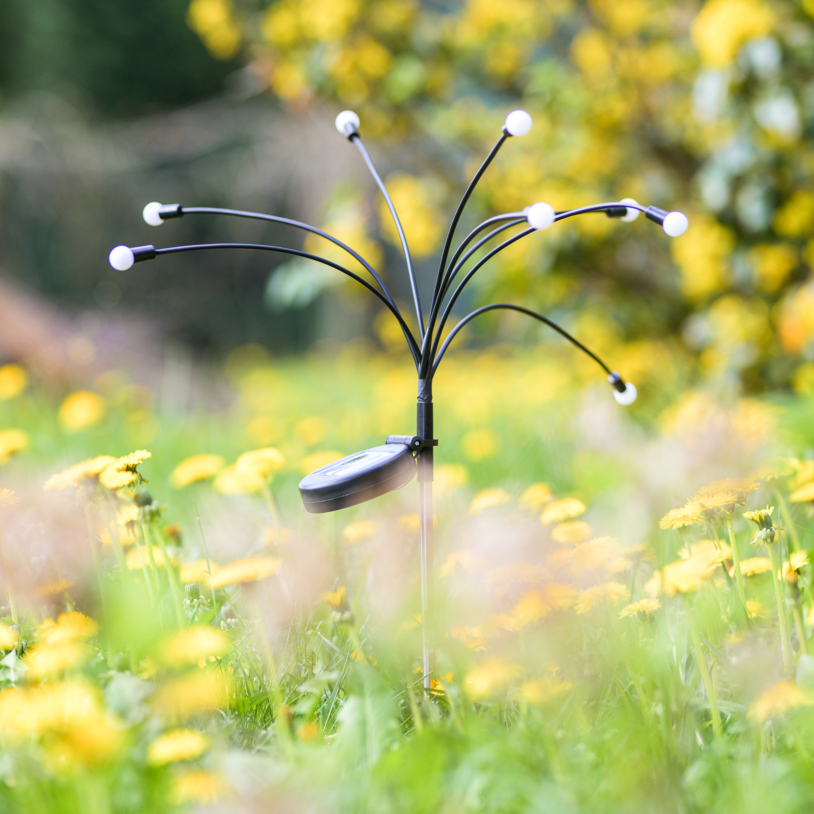 Lampa Solarna Ogrodowa LED TULIO Wbijana Dekoracyjna Dmuchawiec Kuleczki RGB LUMILED - aranżacja