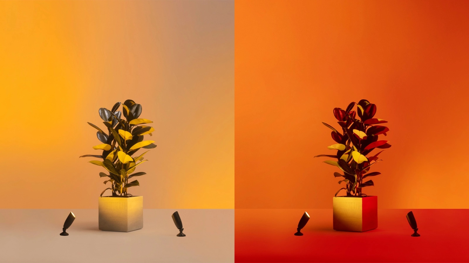 2x Reflektor Ogrodowy LED Wbijany Lampa 10W 540lm 2700-5000K RGB + TW Czarna Inteligentna SMART WiFi Bluetooth Aplikacja WiZ - trzecia cecha produktu