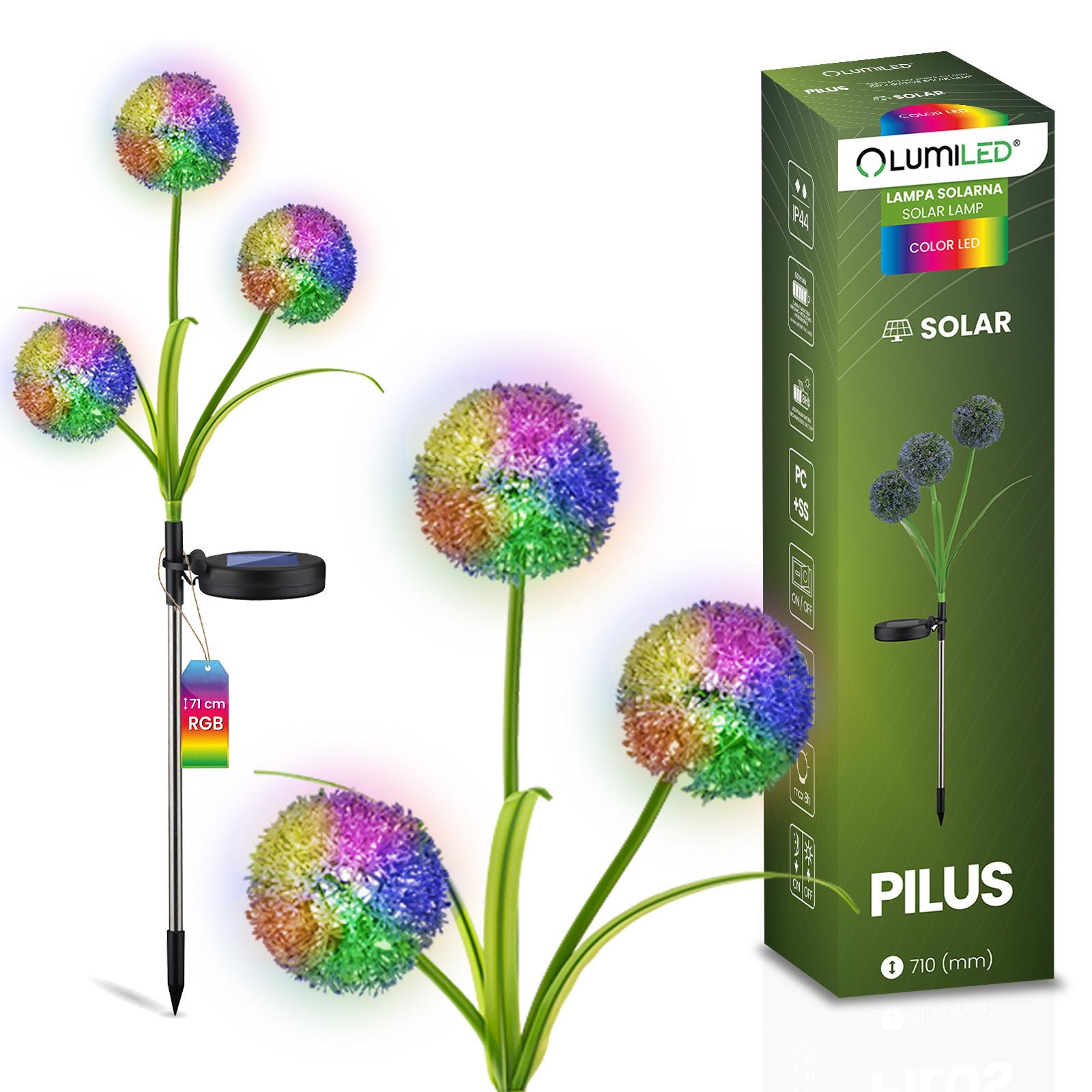 Lampa Solarna Ogrodowa LED PILUS RGB Wbijana Dekoracyjna Kwiat Czosnek LUMILED - główne zdjęcie produktu