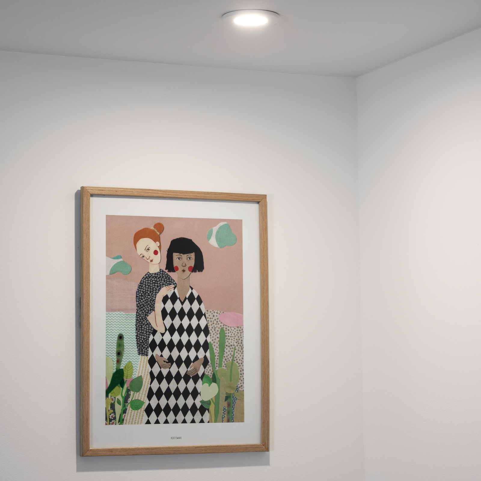 Oprawa Halogenowa Podtynkowa Wpuszczana LED MR16 Okrągła Biała AQUS Lumiled - obszar zastosowań