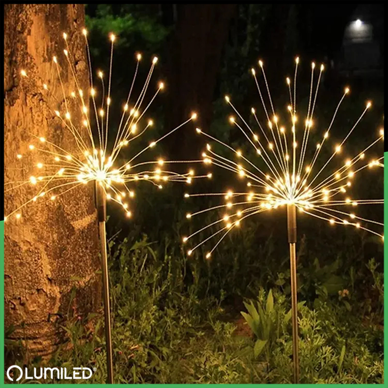 Lampa Solarna Ogrodowa LED LOTUS Wbijana Dekoracyjna Dmuchawiec Fajerwerki 3000K LUMILED - obszar zastosowań
