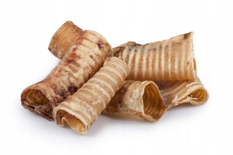 044a5c0c8b02102db1881be9af1c86d1