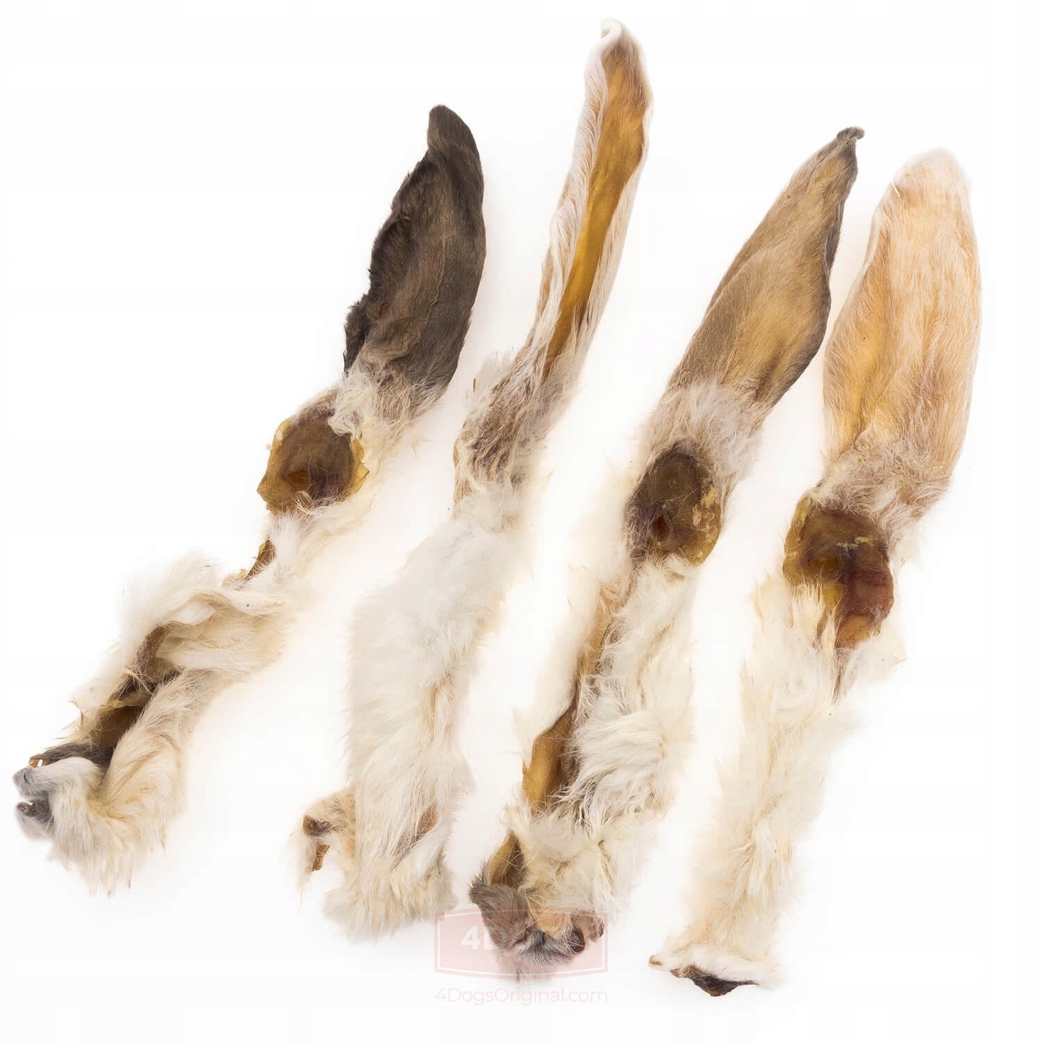 18133748e795712dd833a852cc23563d