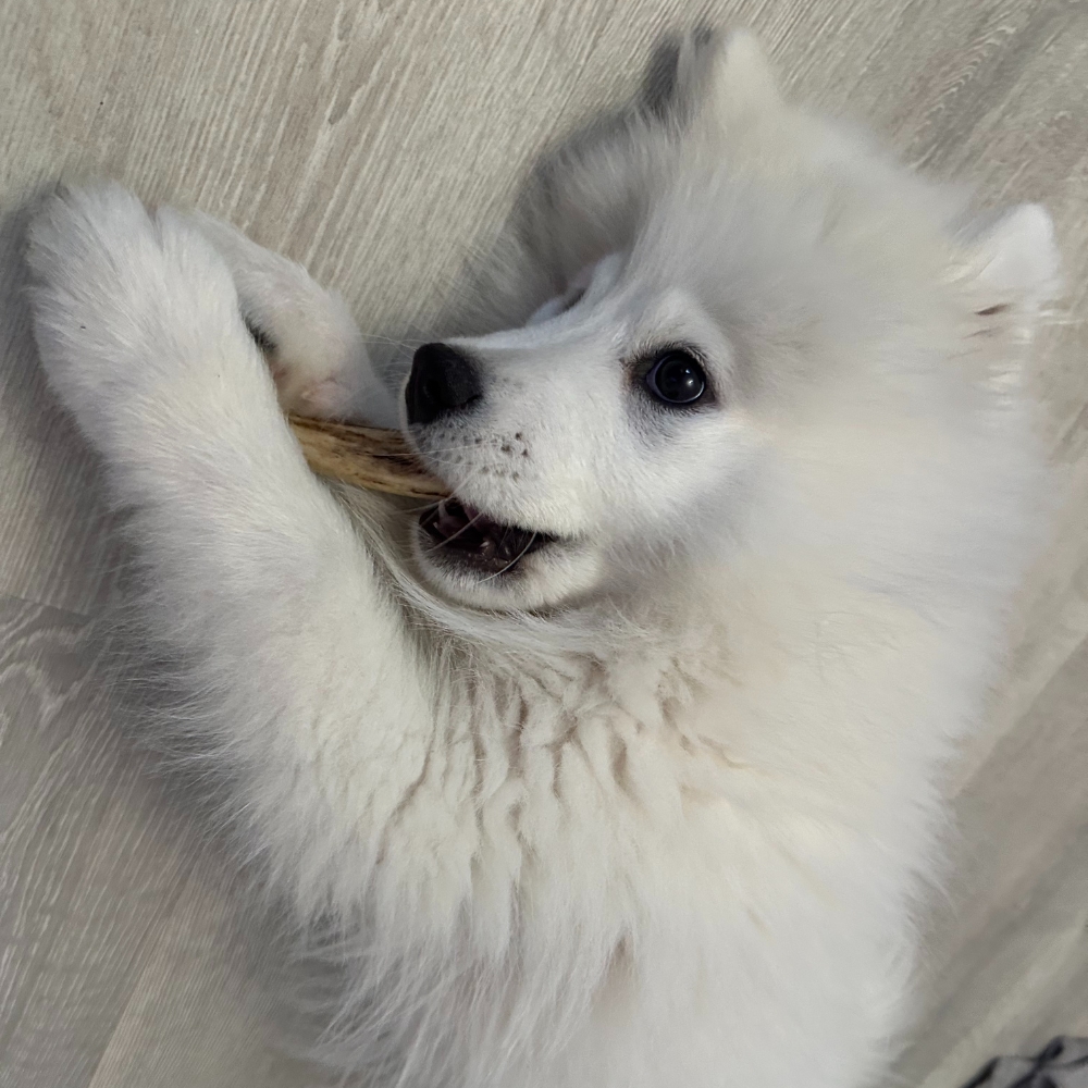 1cc96677e837169ce9f17c76d2608622