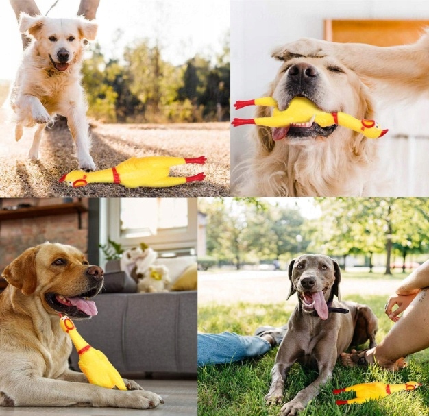 23ea631bdbb450d4e5ad1ef955113d98