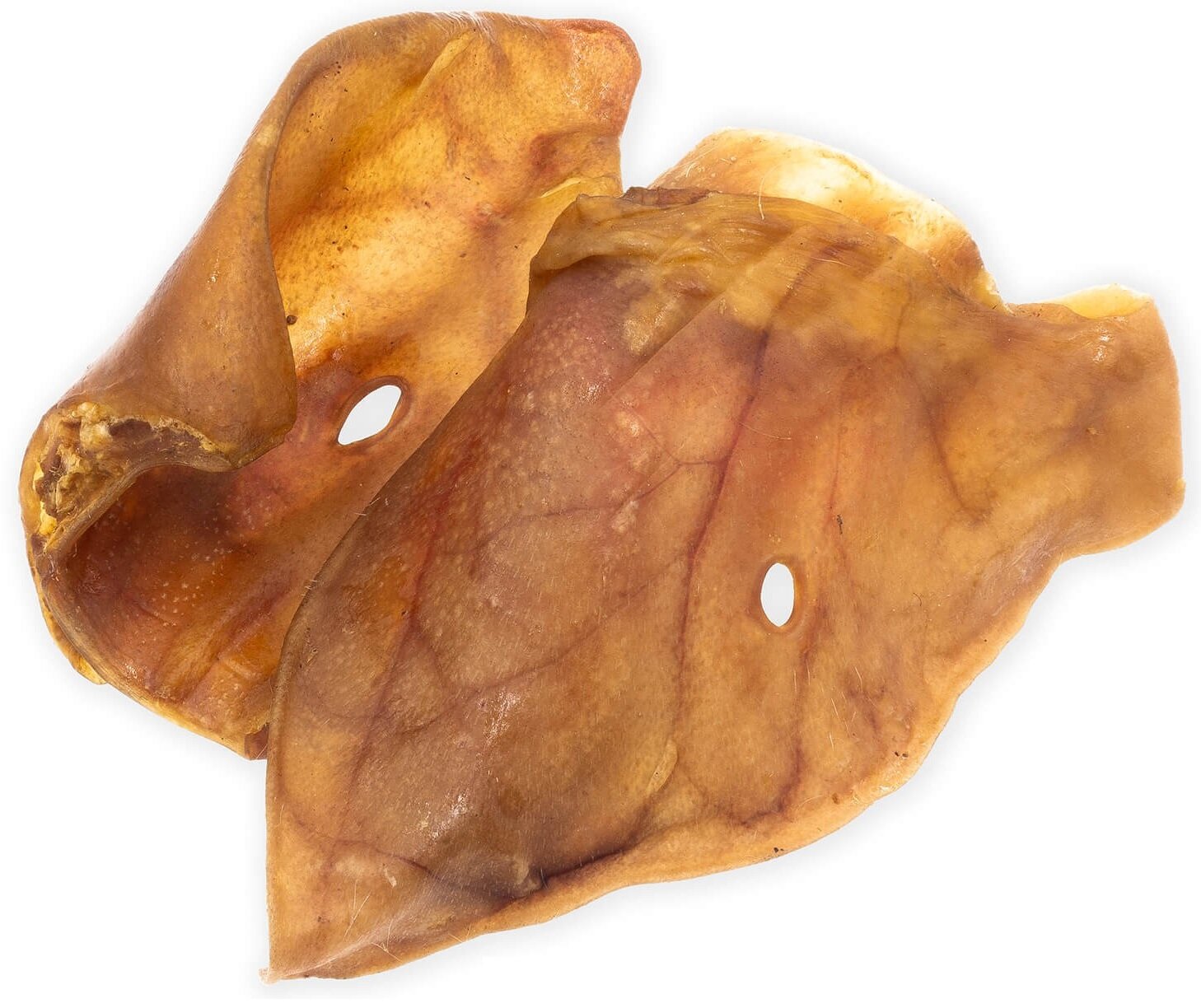 7c591e83e2acfa95011b21815c14a245