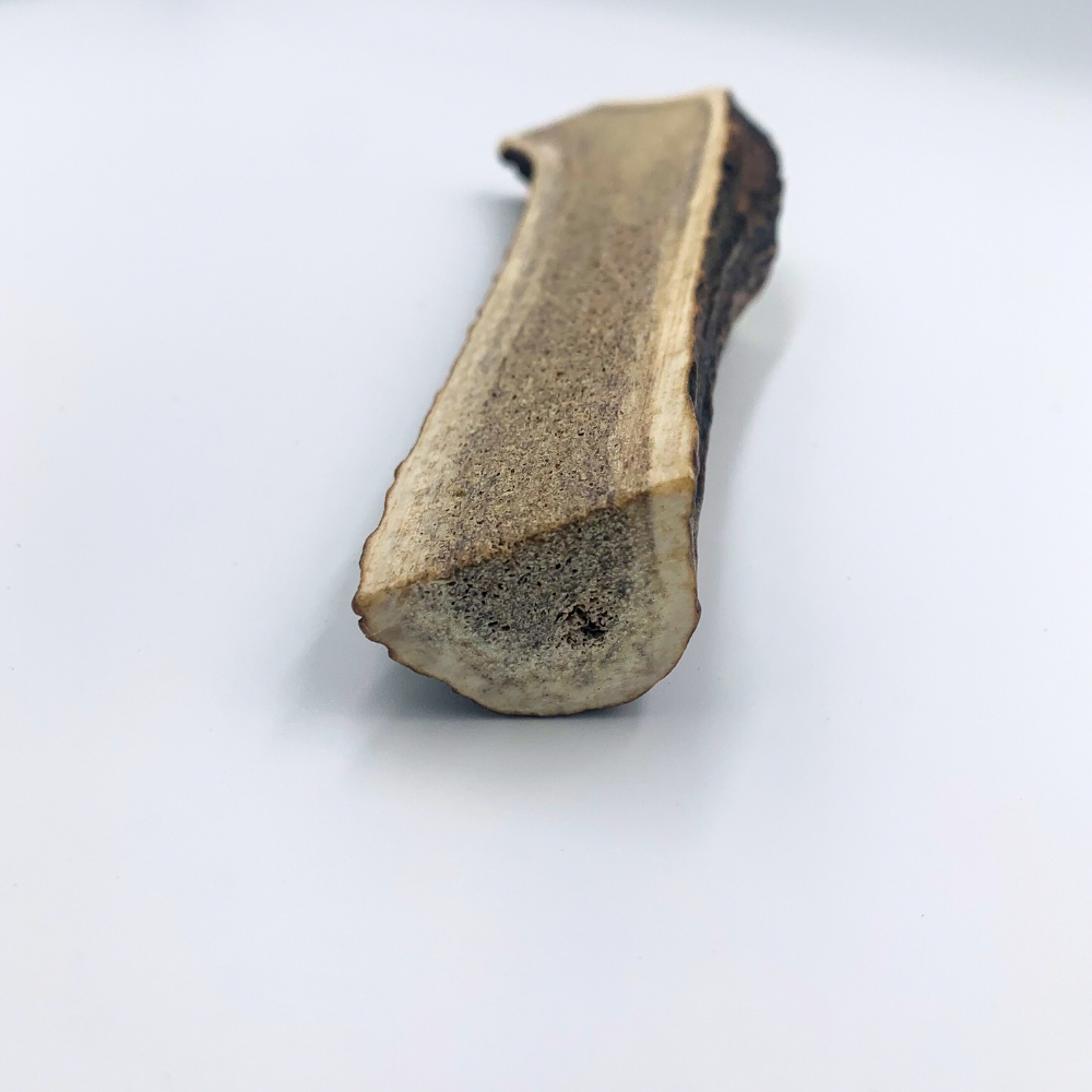 9154efb31174104da1d91a2ccd6fa8ad