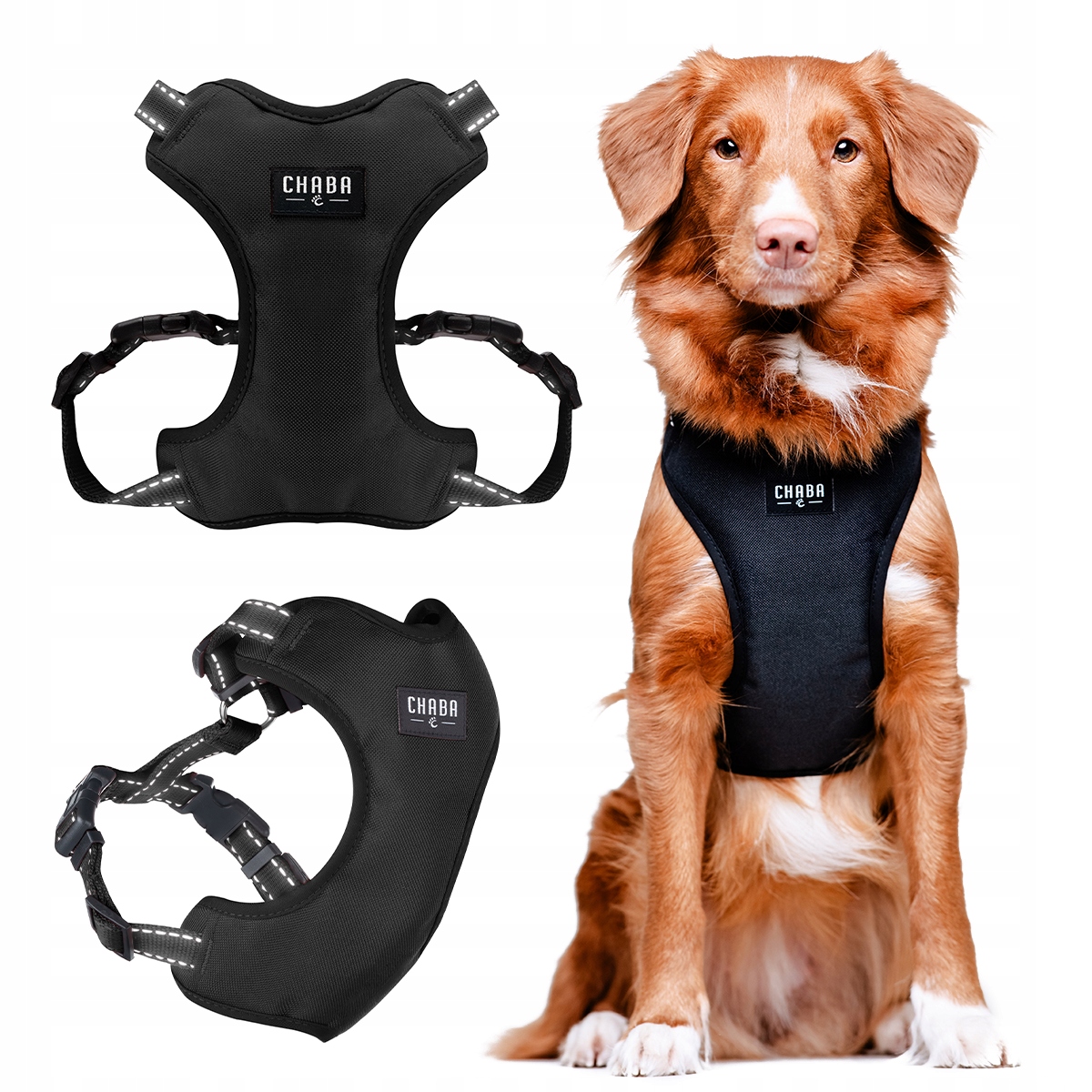 9f6a57dfbdc622b38d1c497513d60ac8