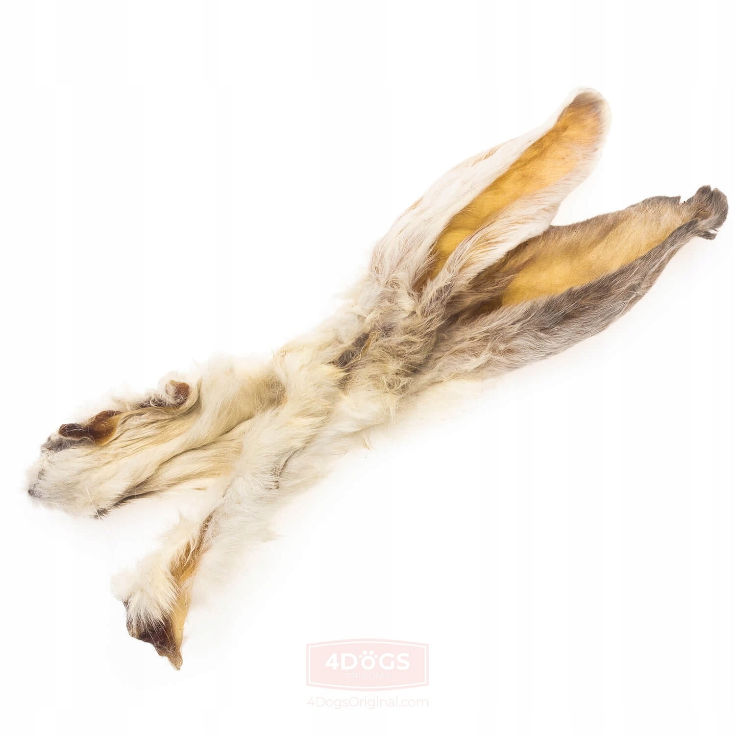 c7af7373be1d8fb26cad027ad6d59904