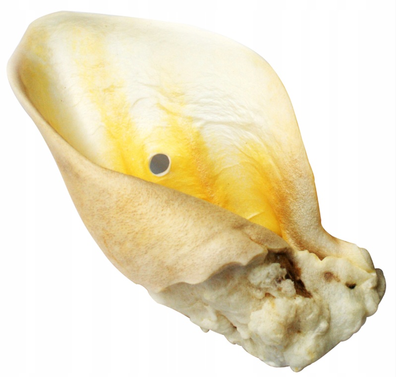 e2b880fbc98fe9ac9e7029e4545922a0