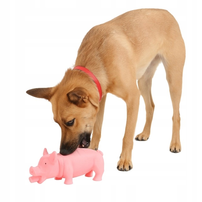 f61d5ebb8aa36f2bb19de2e76940c73f