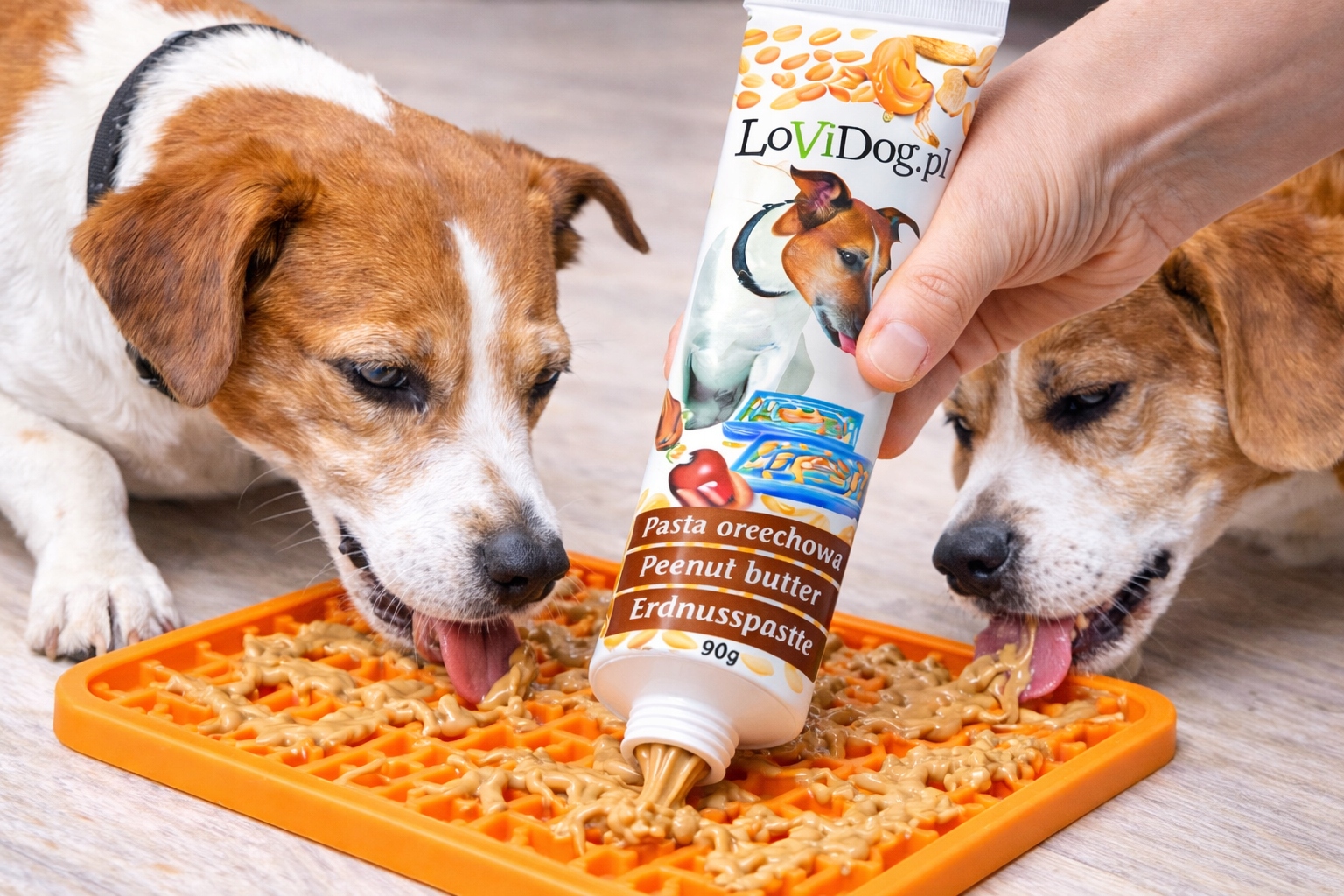 feffbe021e43fb0c72d4b0cff8b75625