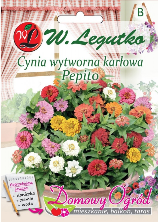 Nasiona Cynia wytworna karłowa Pepito mieszanka