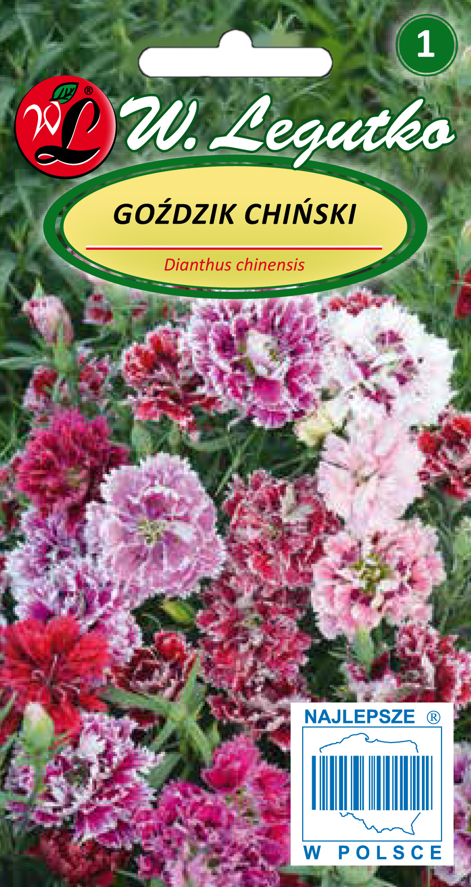 Nasiona Goździk chiński mieszanka, 1g