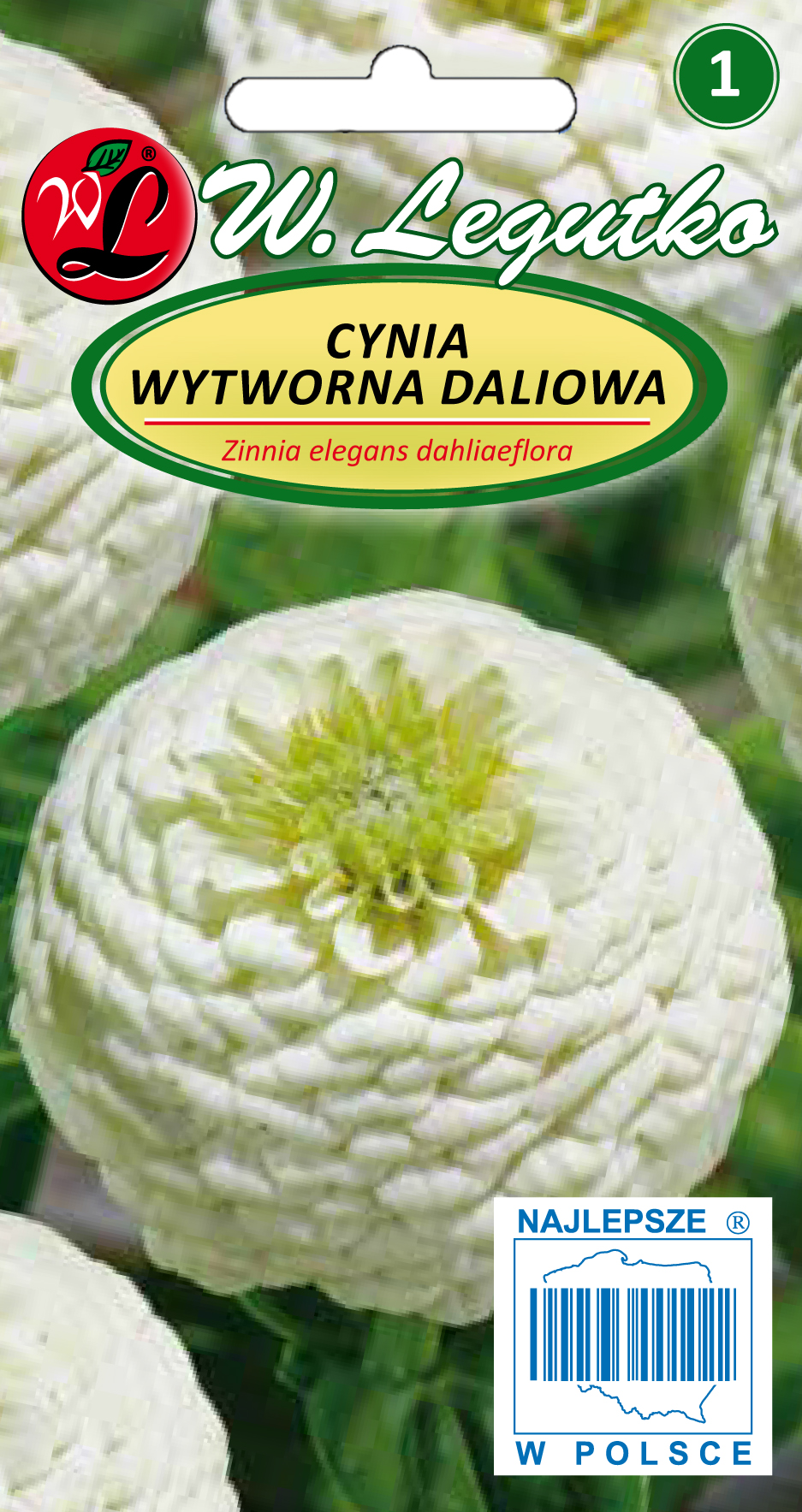 Nasiona Cynia wytworna daliowa Polar Bear-biała 1g