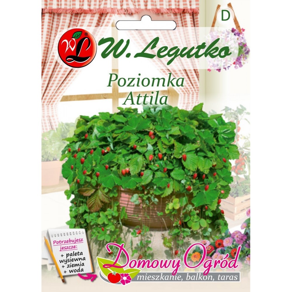 Nasiona Poziomka Attila, 0,1g