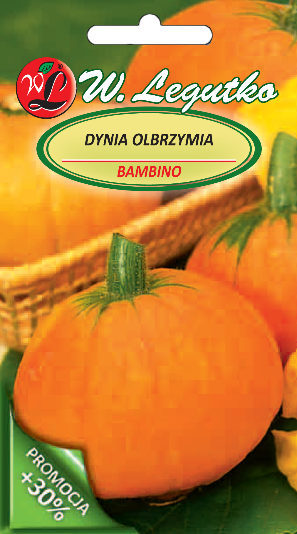 Nasiona Dynia olbrzymia Bambino, pomarańczowa, 4g