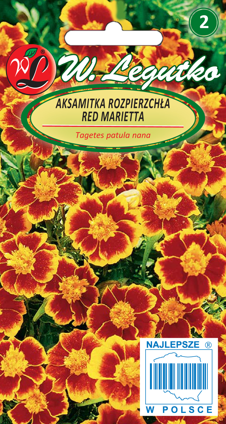Nasiona Aksamitka Red Marietta mahoniowoczerwona