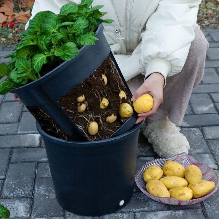 Doniczka okrągła do hodowli ziemniaków Potato Grower 300 — 2
