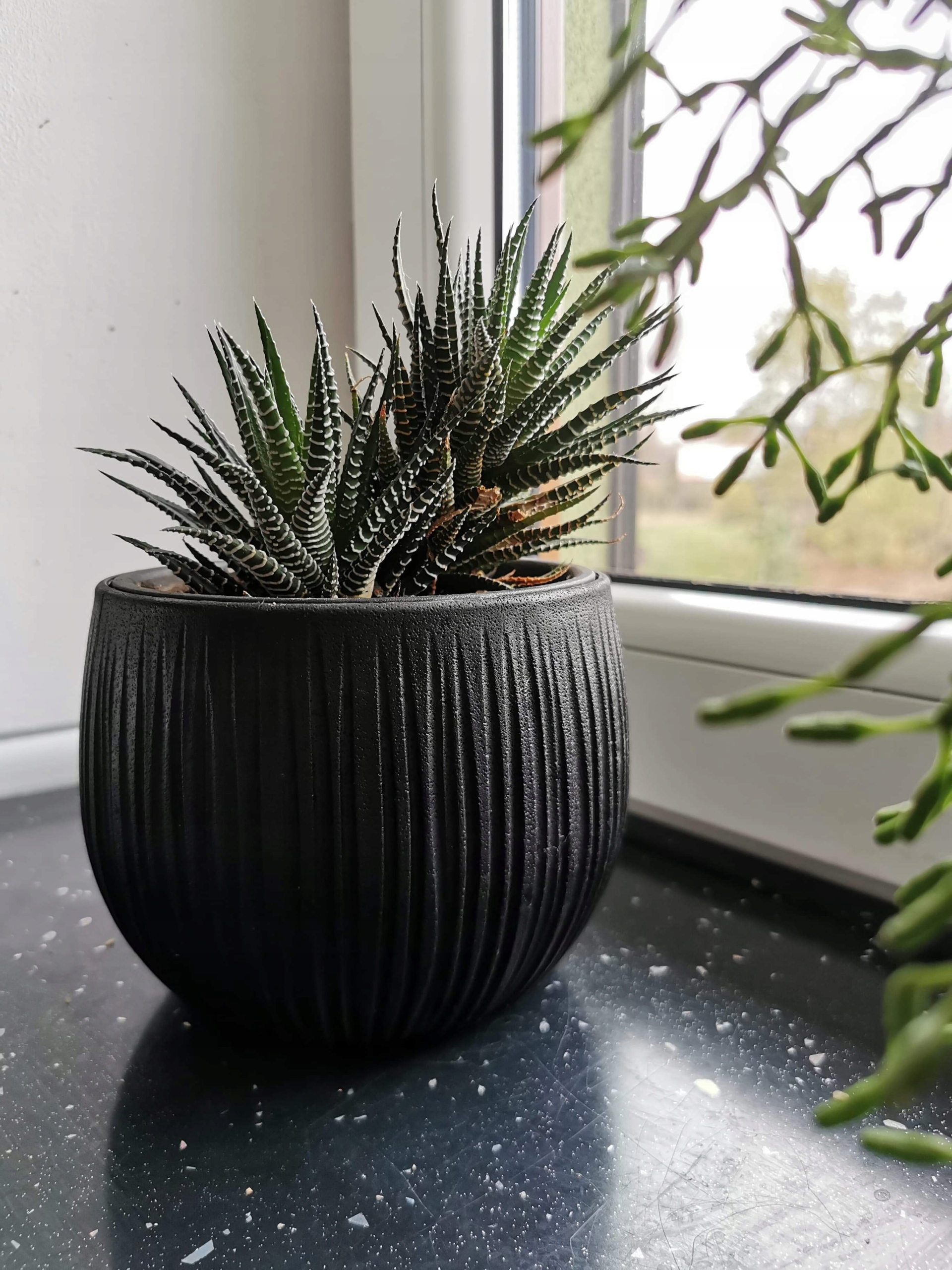Doniczka kula Beton Bowl DKB180 z wkładem | Czarny beton — 14