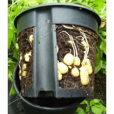 Doniczka okrągła do hodowli ziemniaków Potato Grower 300 — 3