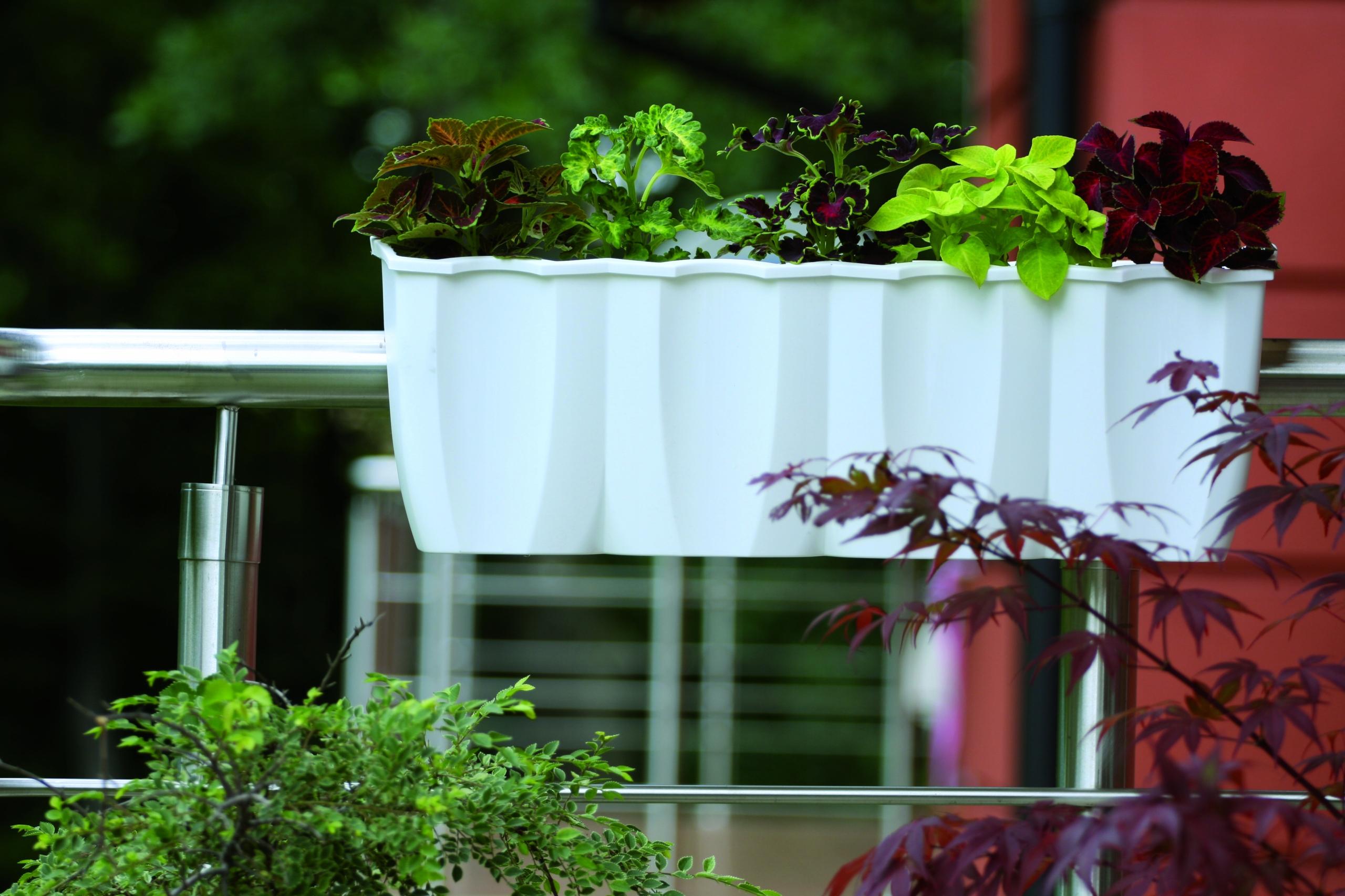 Doniczka na balustradę CROWN DCRO600 | Antracyt — 3