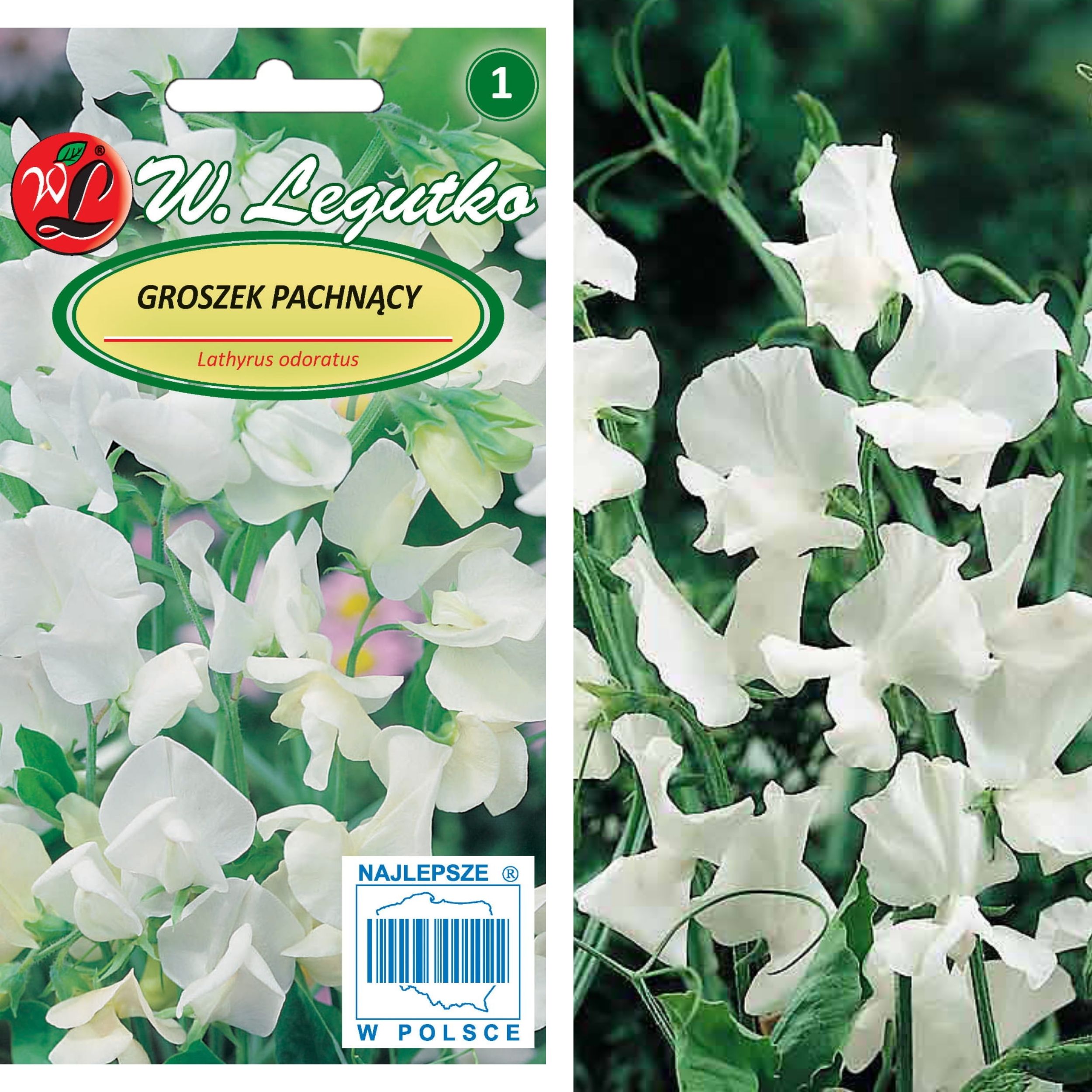 Nasiona Groszek pachnący biały, 3g