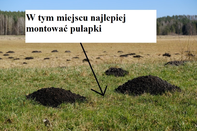 Pułapka na krety zwykła - zestaw 5 sztuk — 6