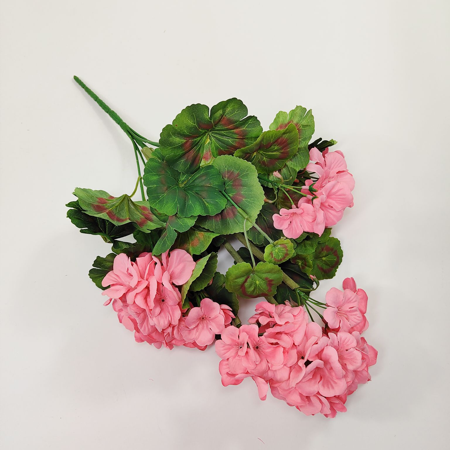 Bukiet pelargonia '3